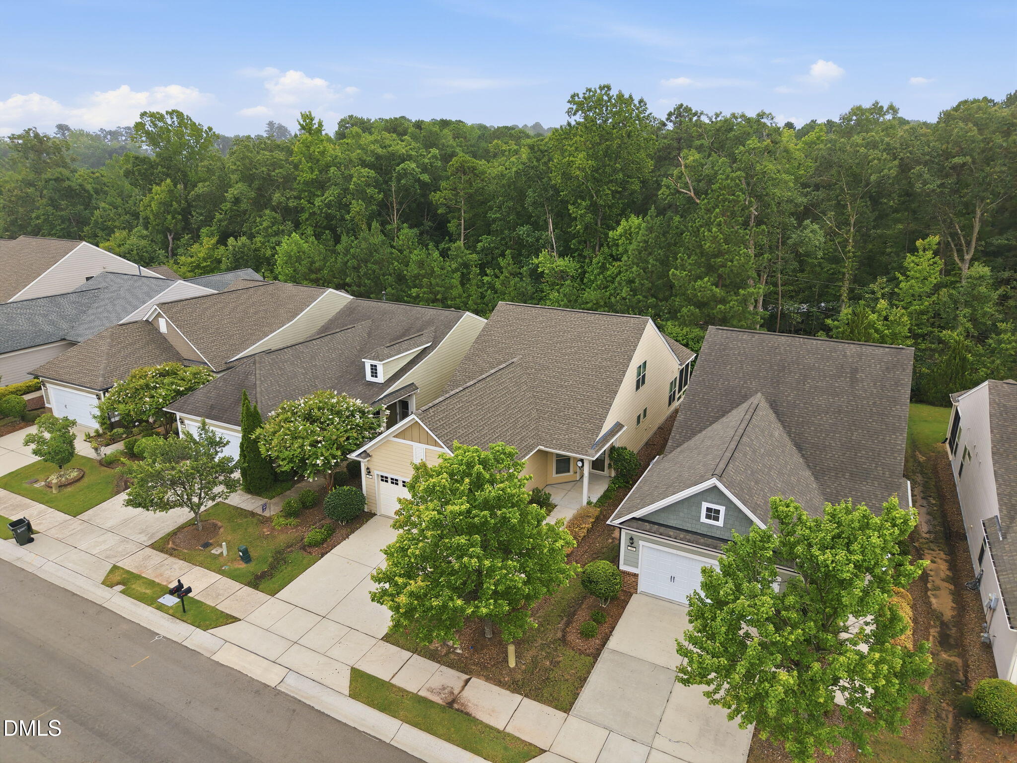 147 Rosedale Creek Drive Property Photo 44