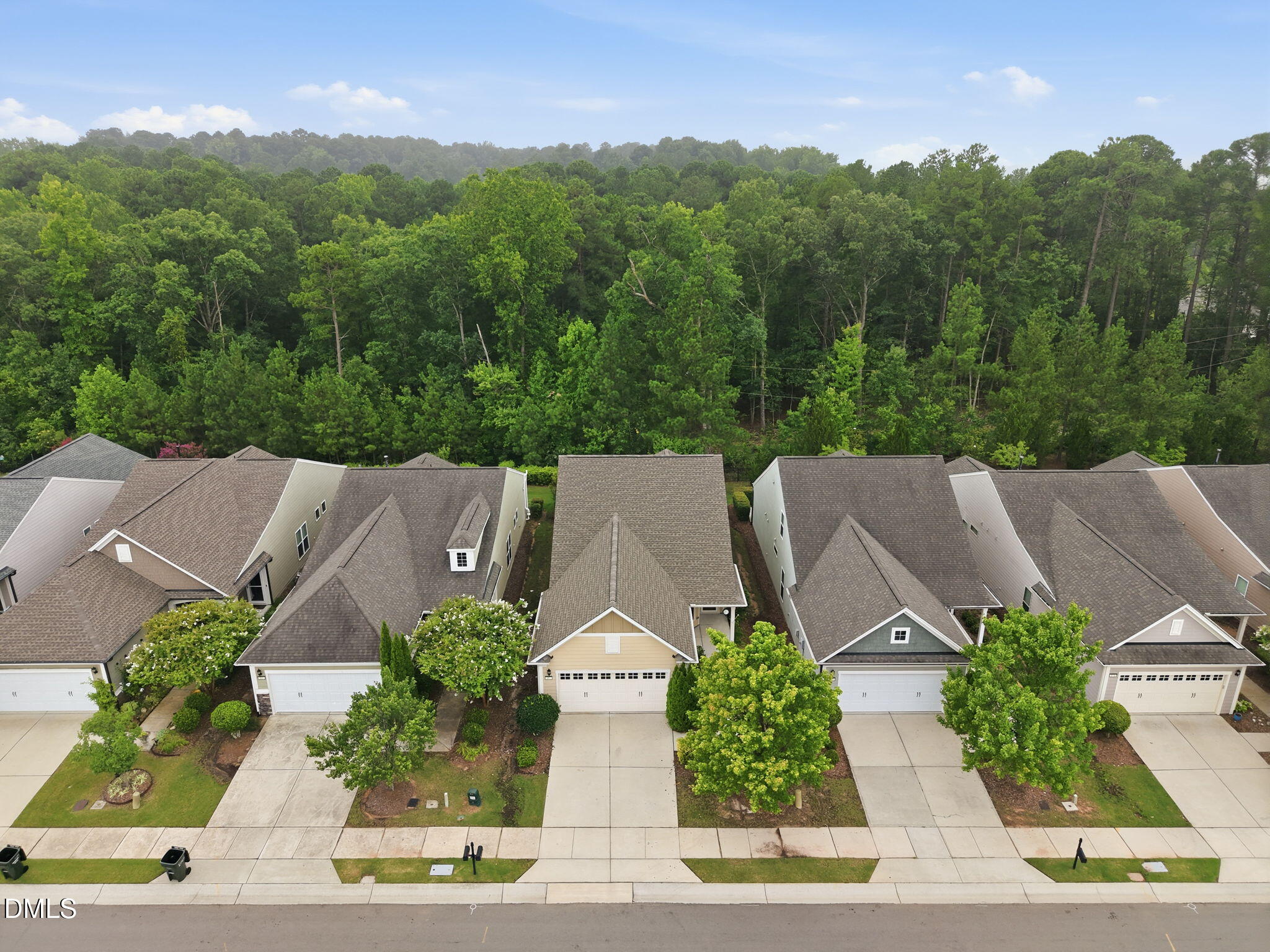 147 Rosedale Creek Drive Property Photo 45