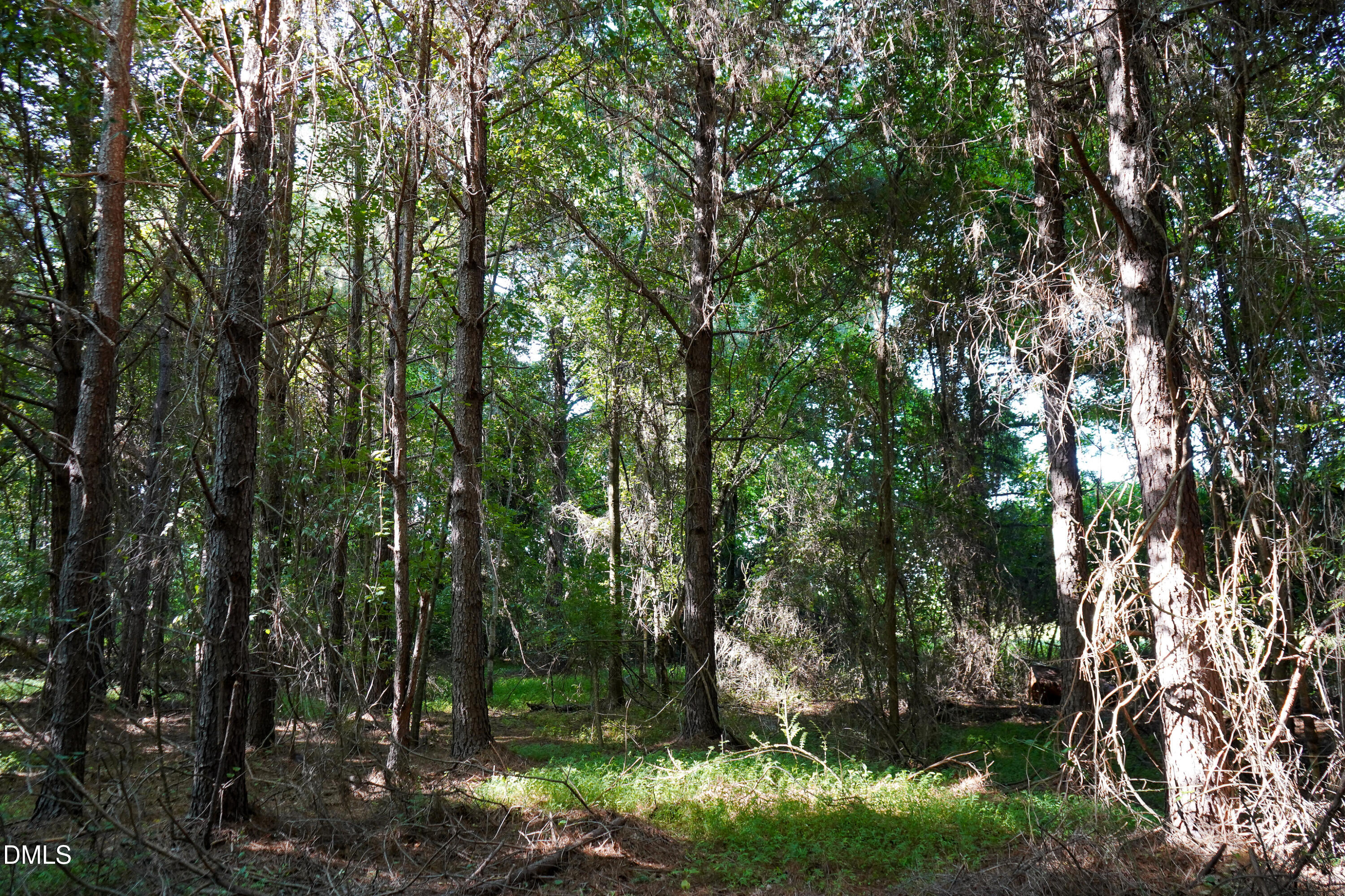 5.25 Acres Timberlake Road Property Photo 4