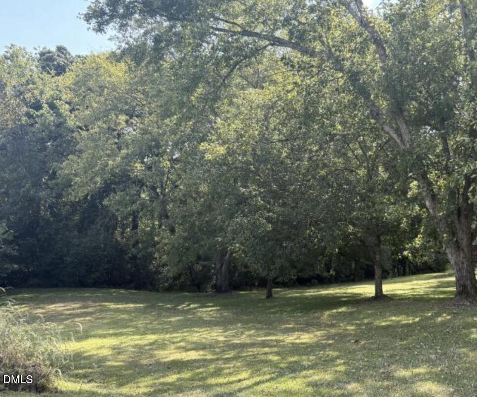 0 Winfred Brady Road Property Photo 1