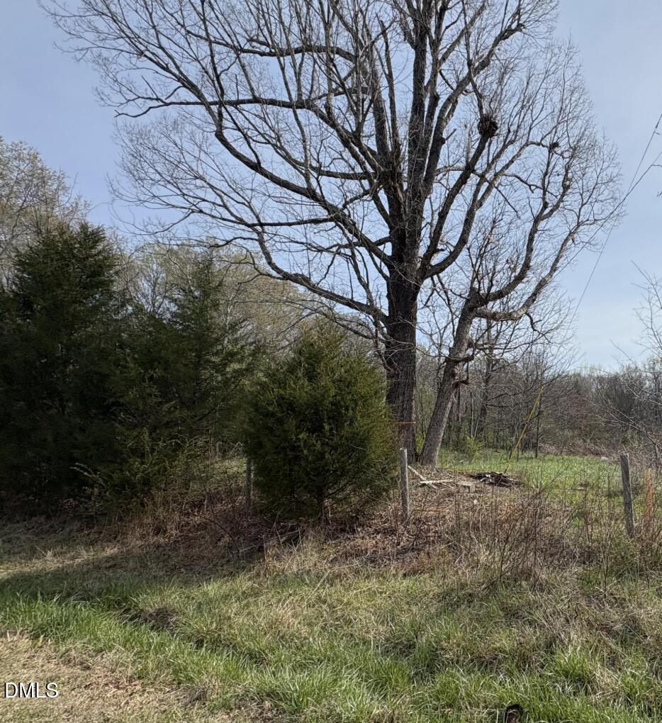0 Winfred Brady Road Property Photo 2