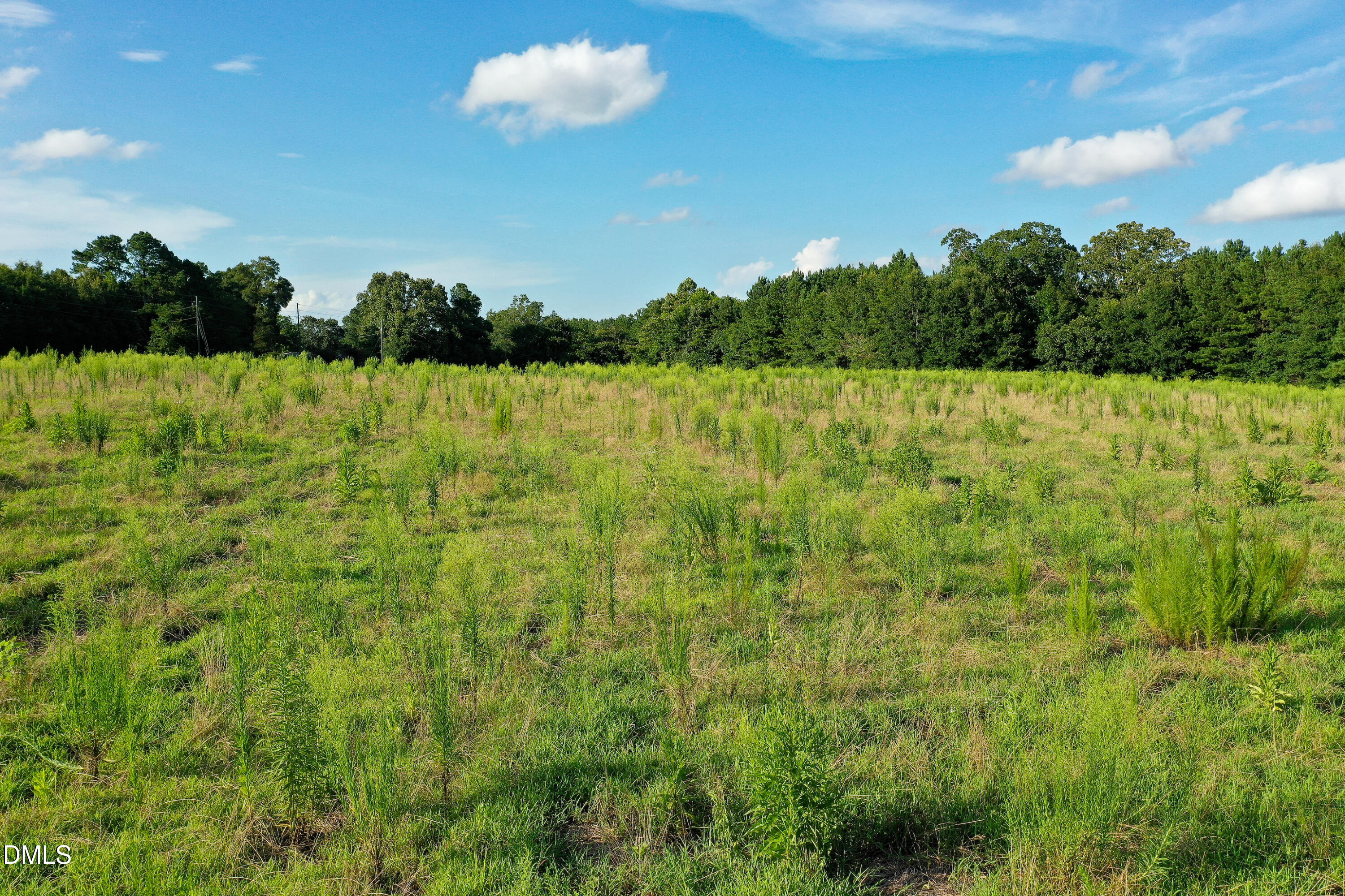 38 Acres Timberlake Road Property Photo 10