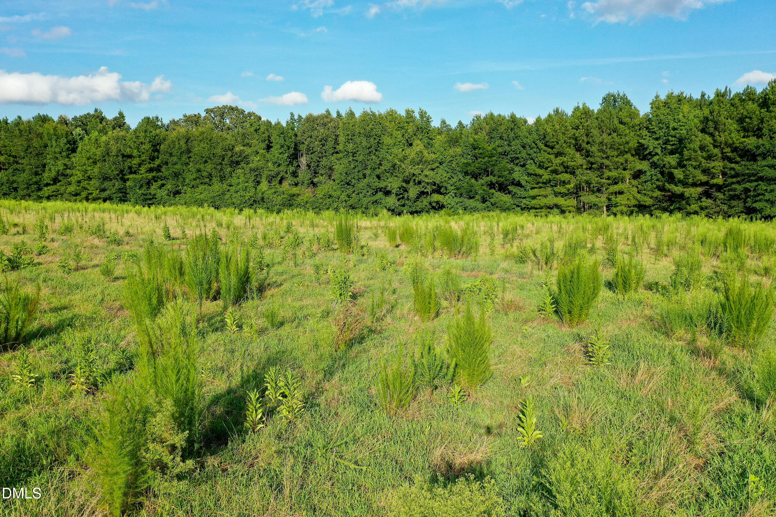 38 Acres Timberlake Road Property Photo 11