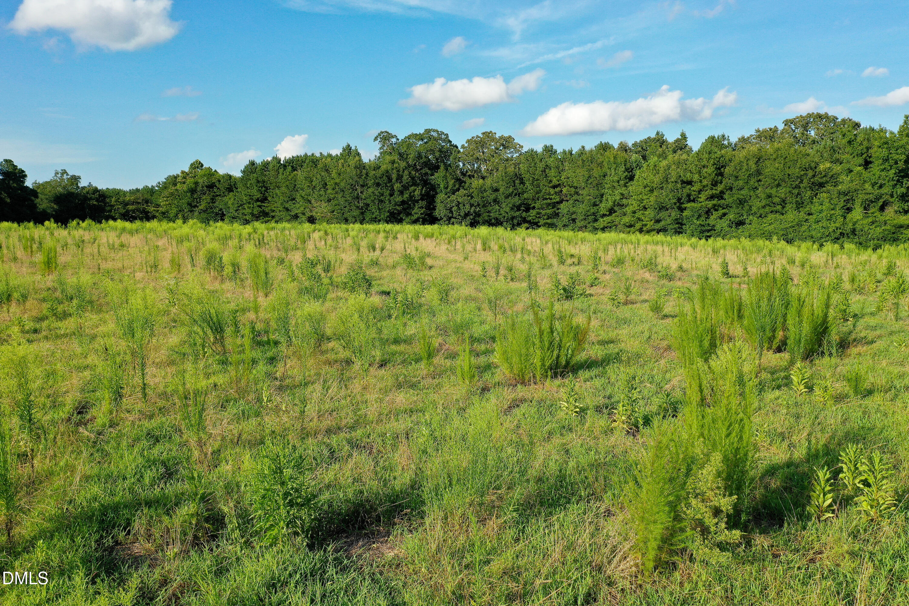 38 Acres Timberlake Road Property Photo 12