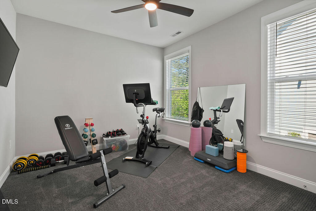 249 Scarlet Tanager Circle Property Photo 29