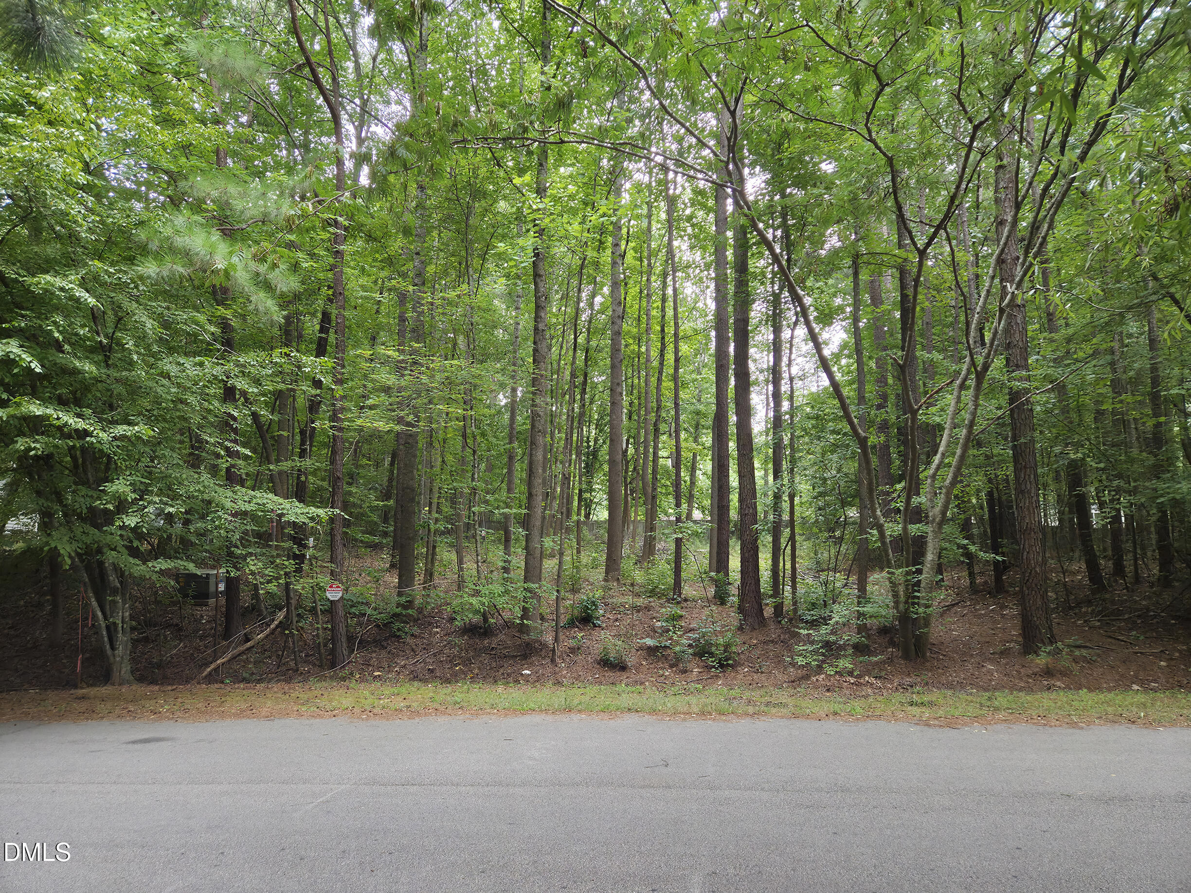 5009 Holly Brook Drive Property Photo 2
