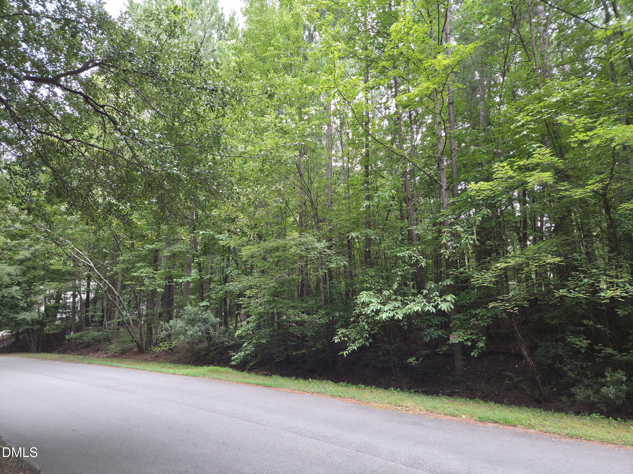5009 Holly Brook Drive Property Photo 3