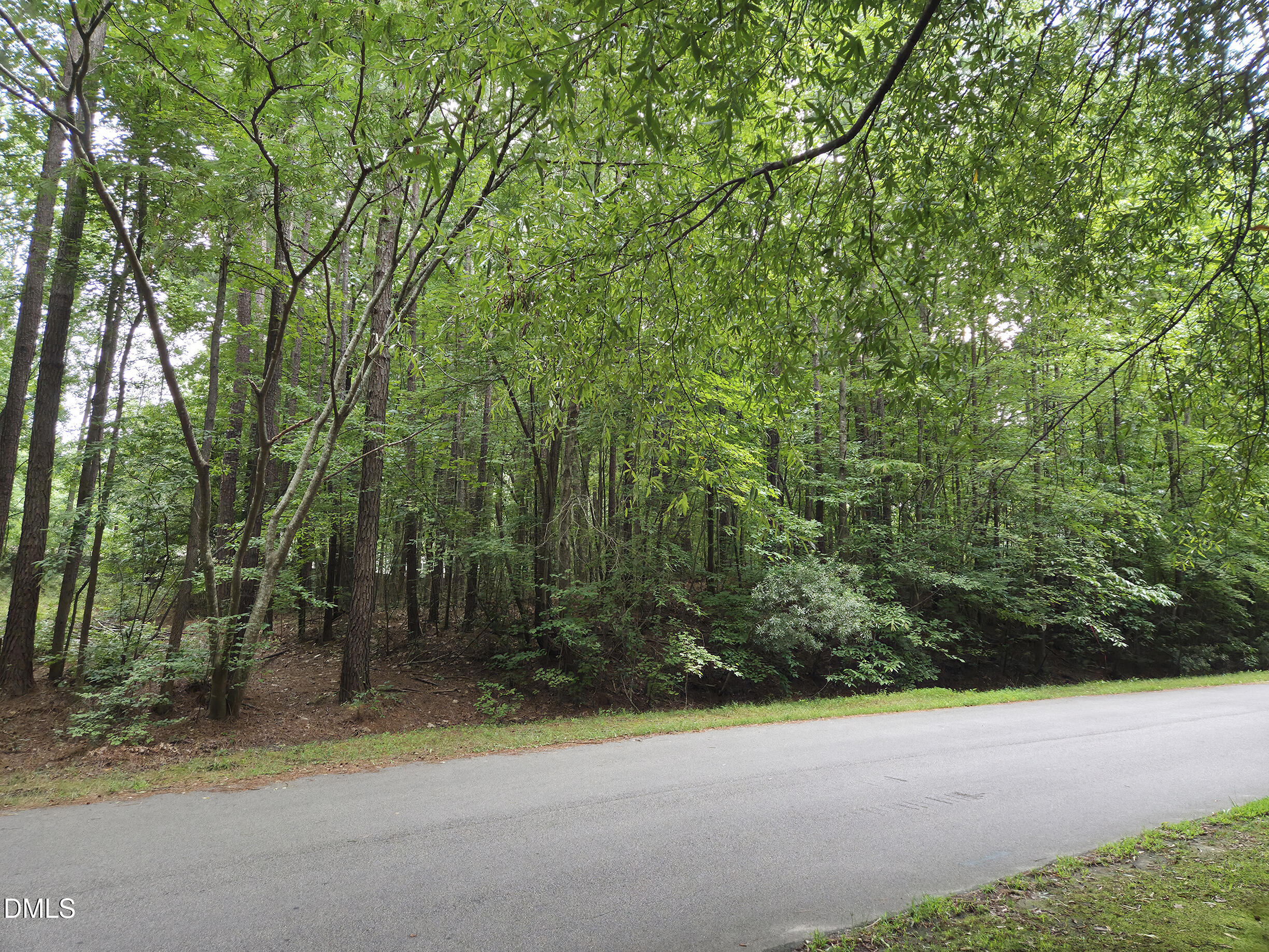 5009 Holly Brook Drive Property Photo 4