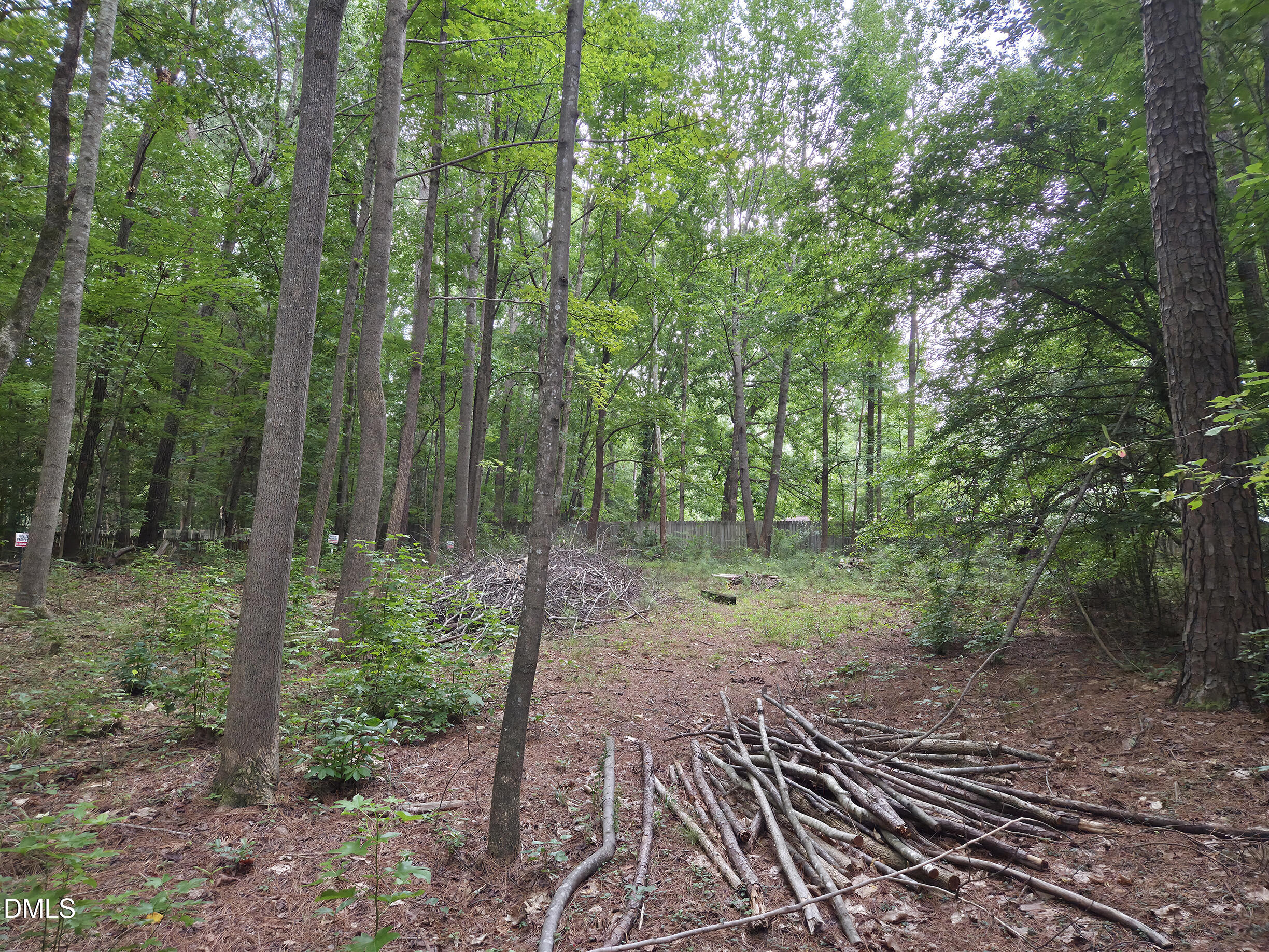 5009 Holly Brook Drive Property Photo 6