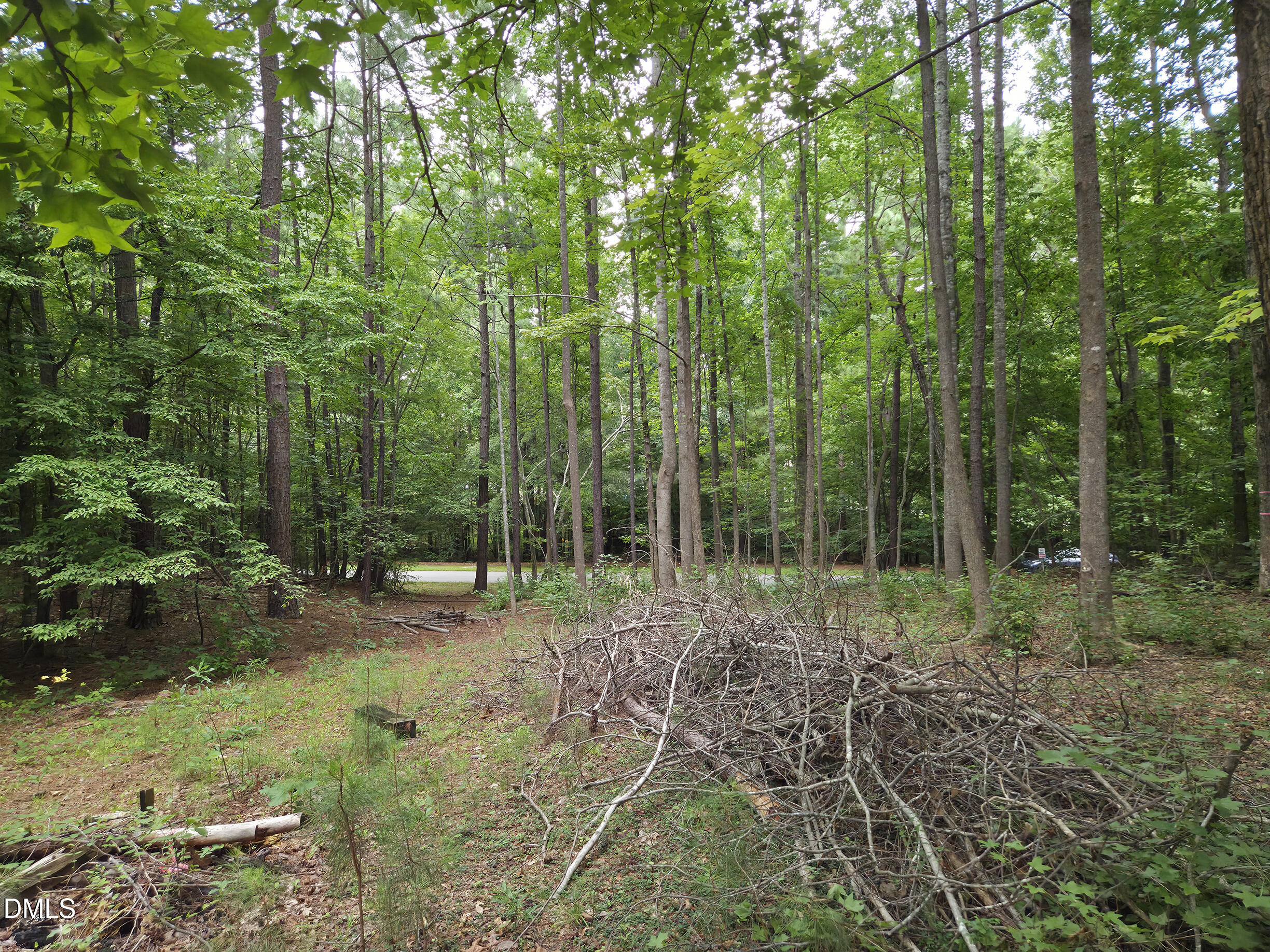 5009 Holly Brook Drive Property Photo 7