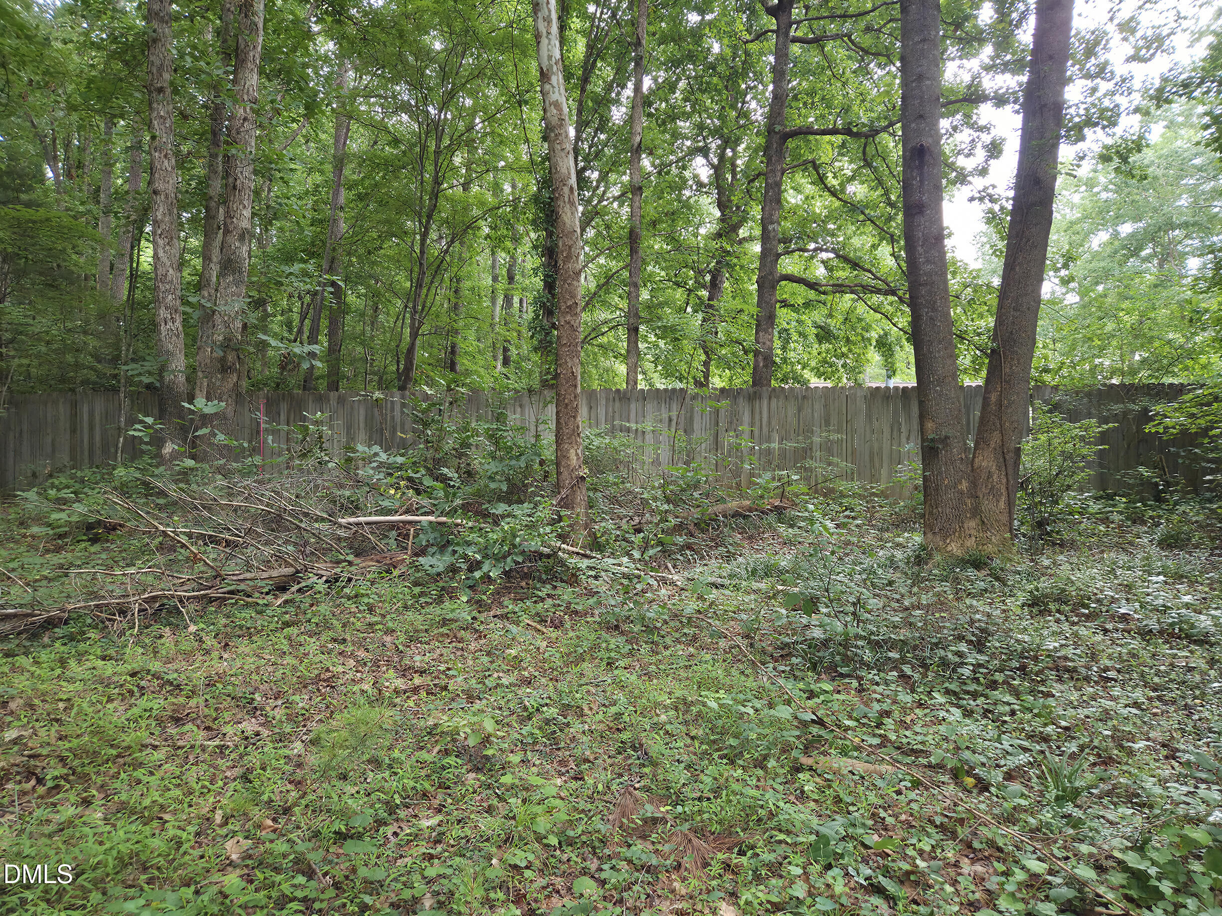 5009 Holly Brook Drive Property Photo 8