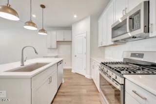 206 Solaire Alley Property Photo 3