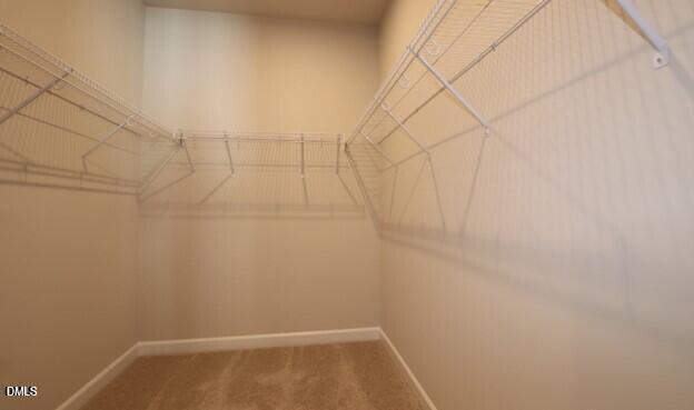 206 Solaire Alley Property Photo 16