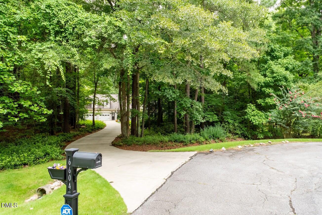 6604 Willow Chase Drive Property Photo 6