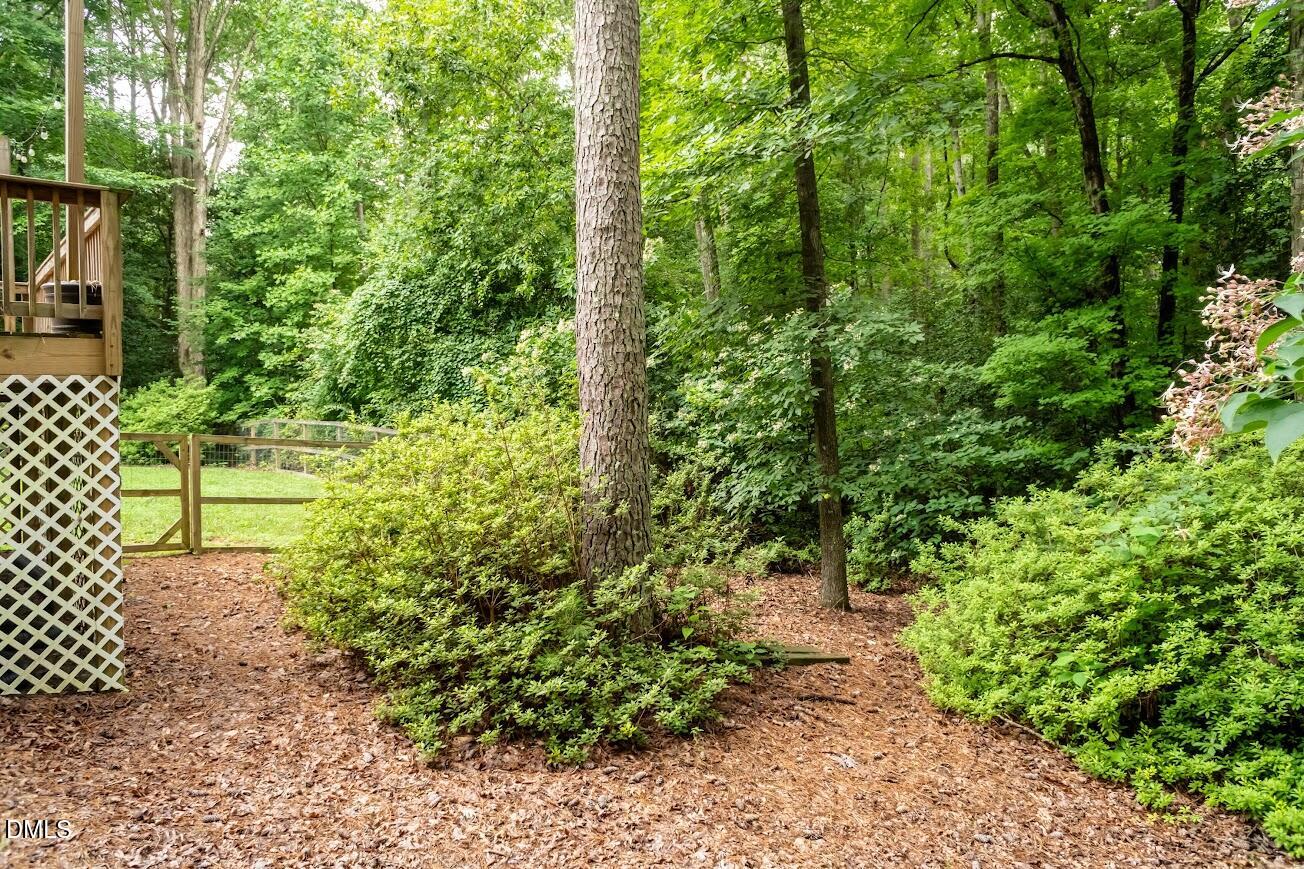6604 Willow Chase Drive Property Photo 49