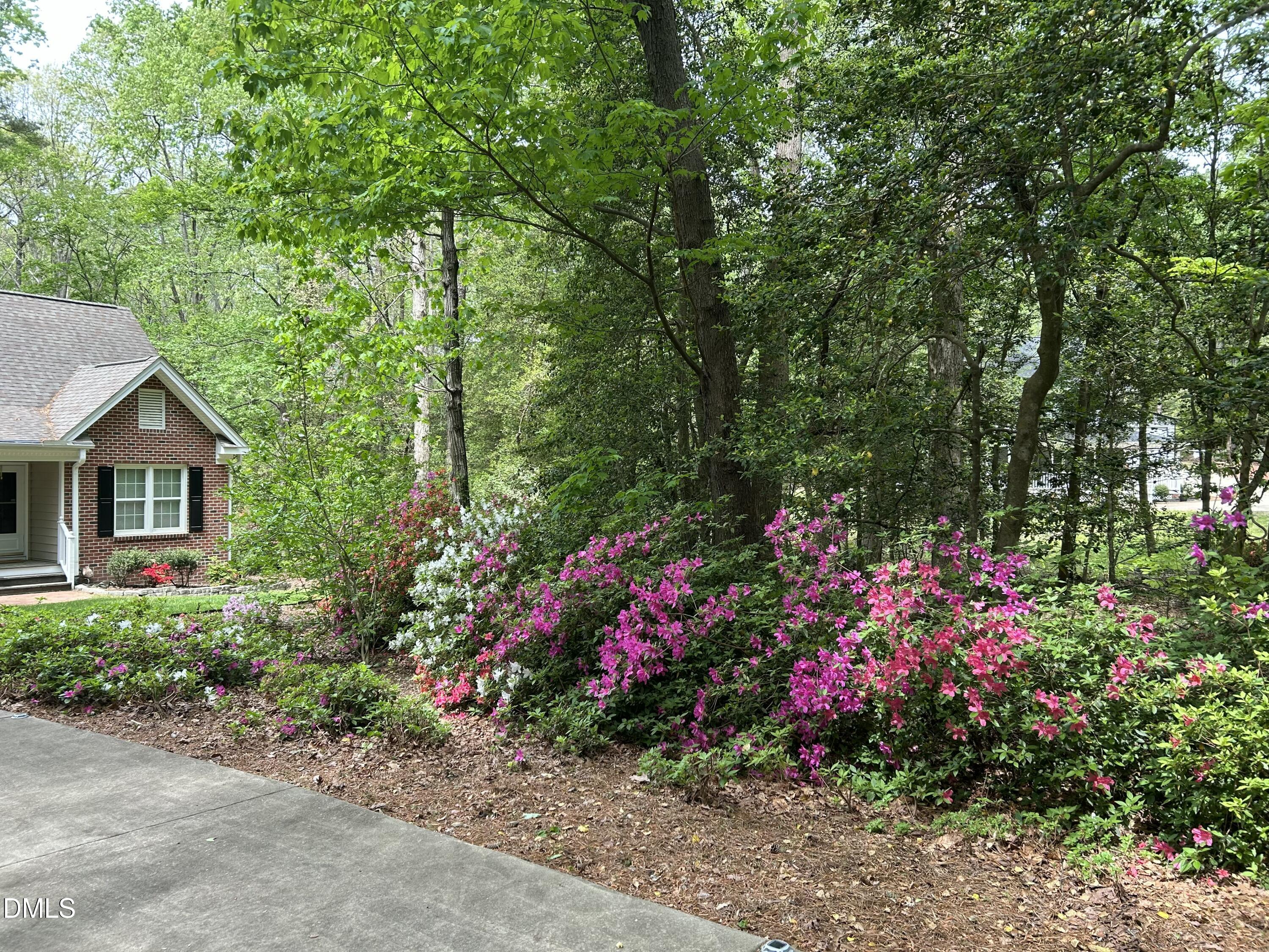 6604 Willow Chase Drive Property Photo 61
