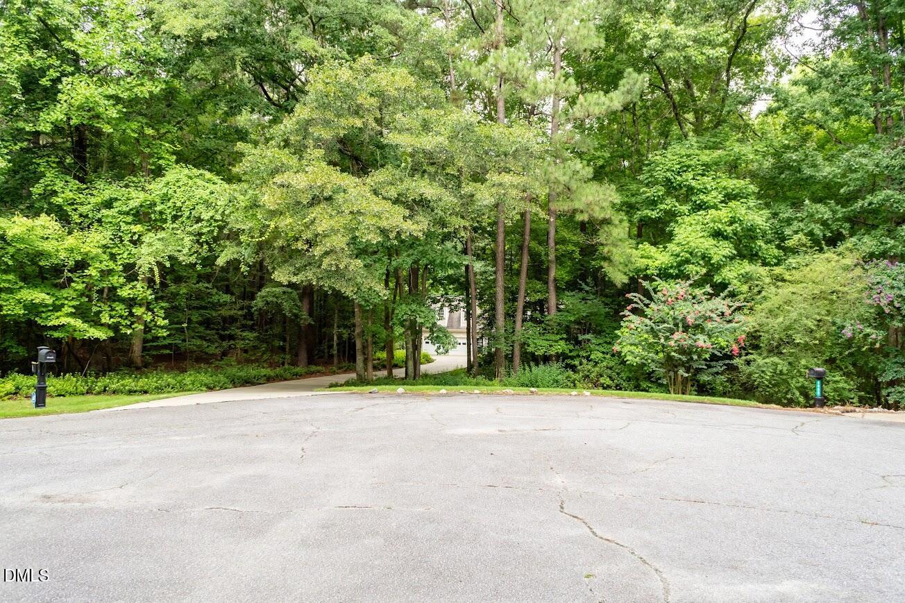 6604 Willow Chase Drive Property Photo 62