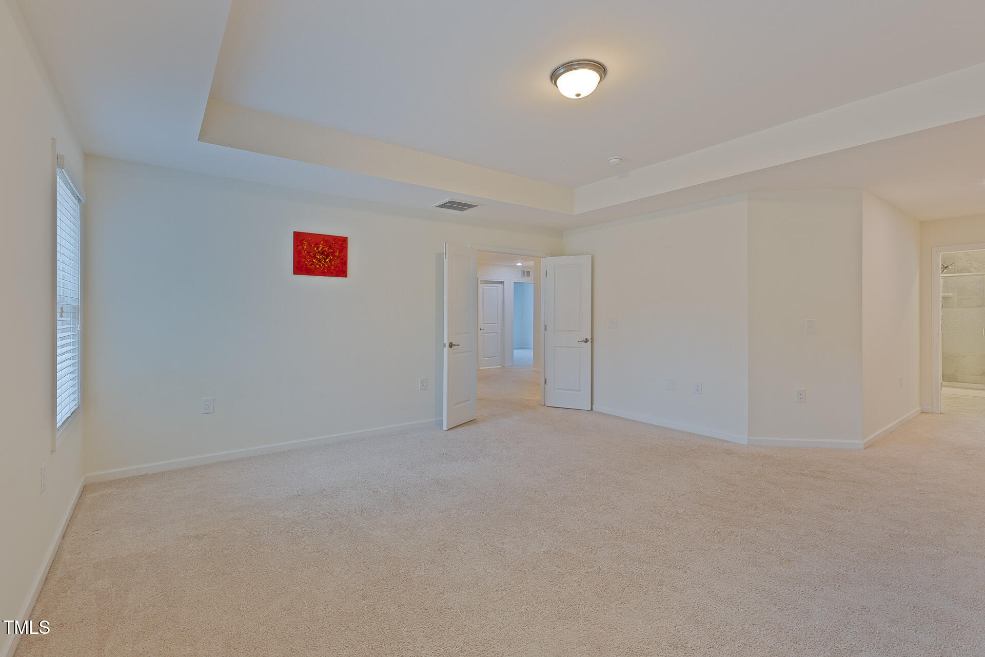 317 Springhurst Lane Property Photo 29