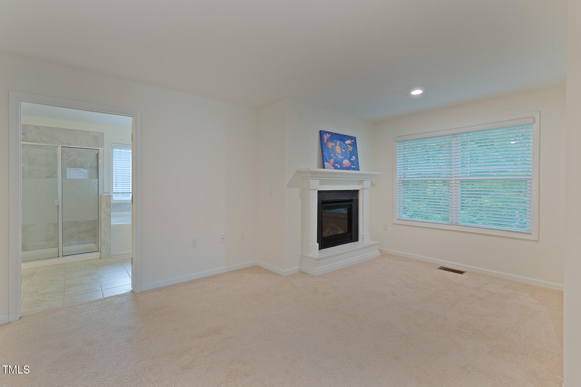 317 Springhurst Lane Property Photo 33