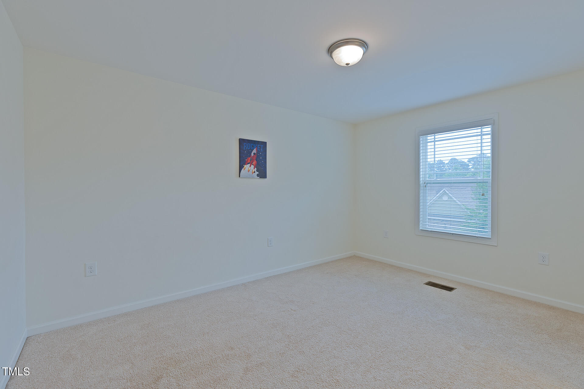 317 Springhurst Lane Property Photo 42