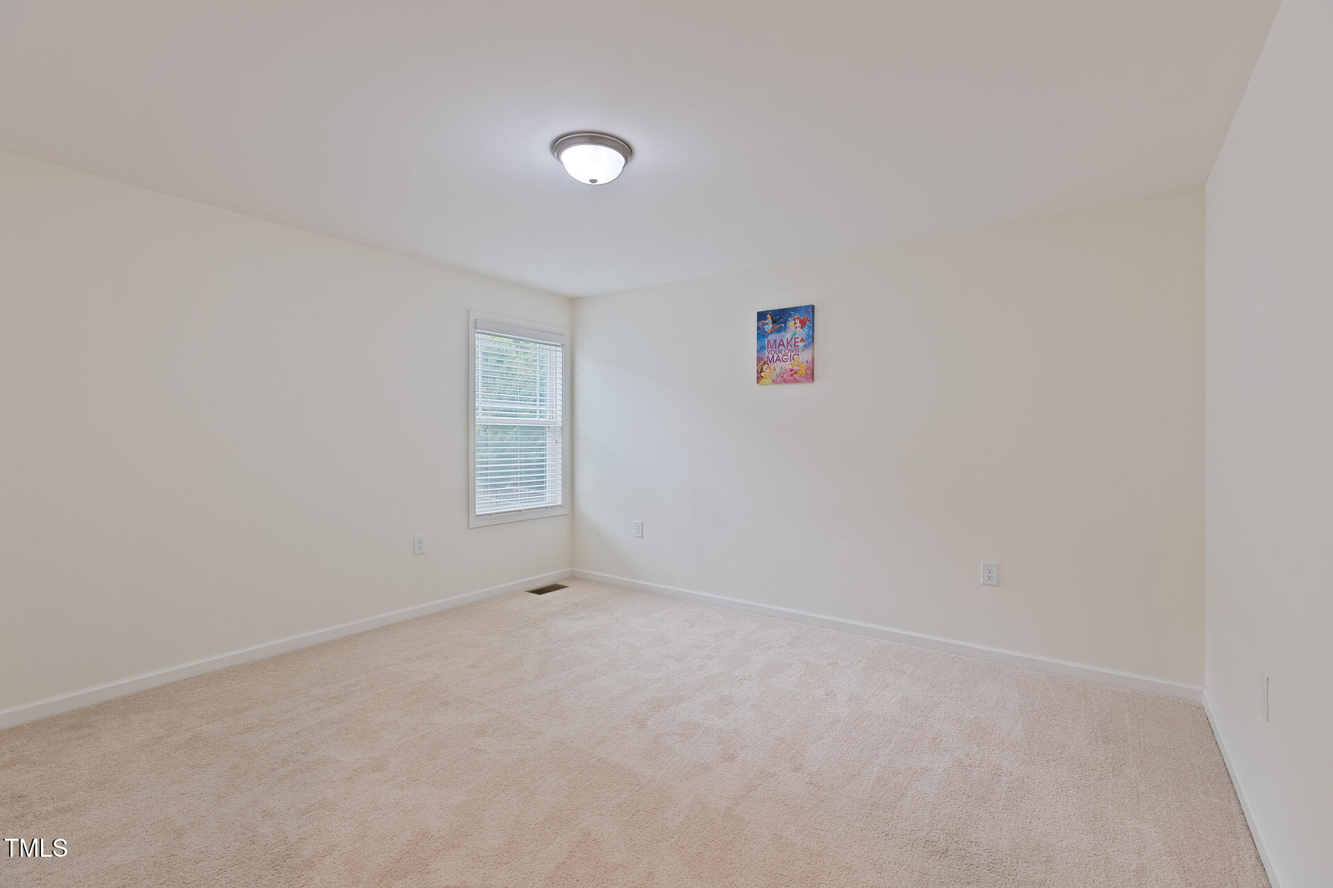 317 Springhurst Lane Property Photo 46