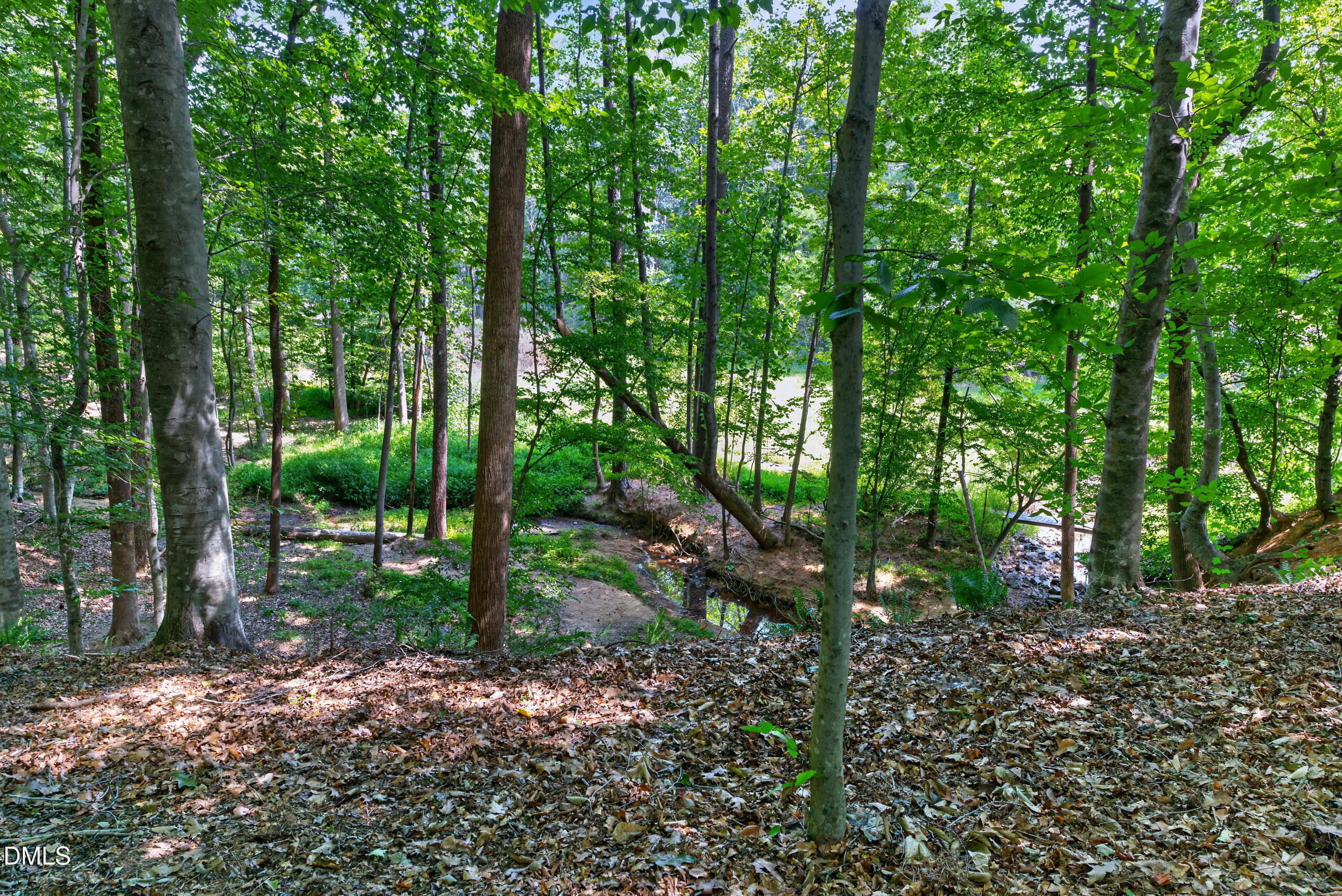 1002 Surry Dale Court Property Photo 68