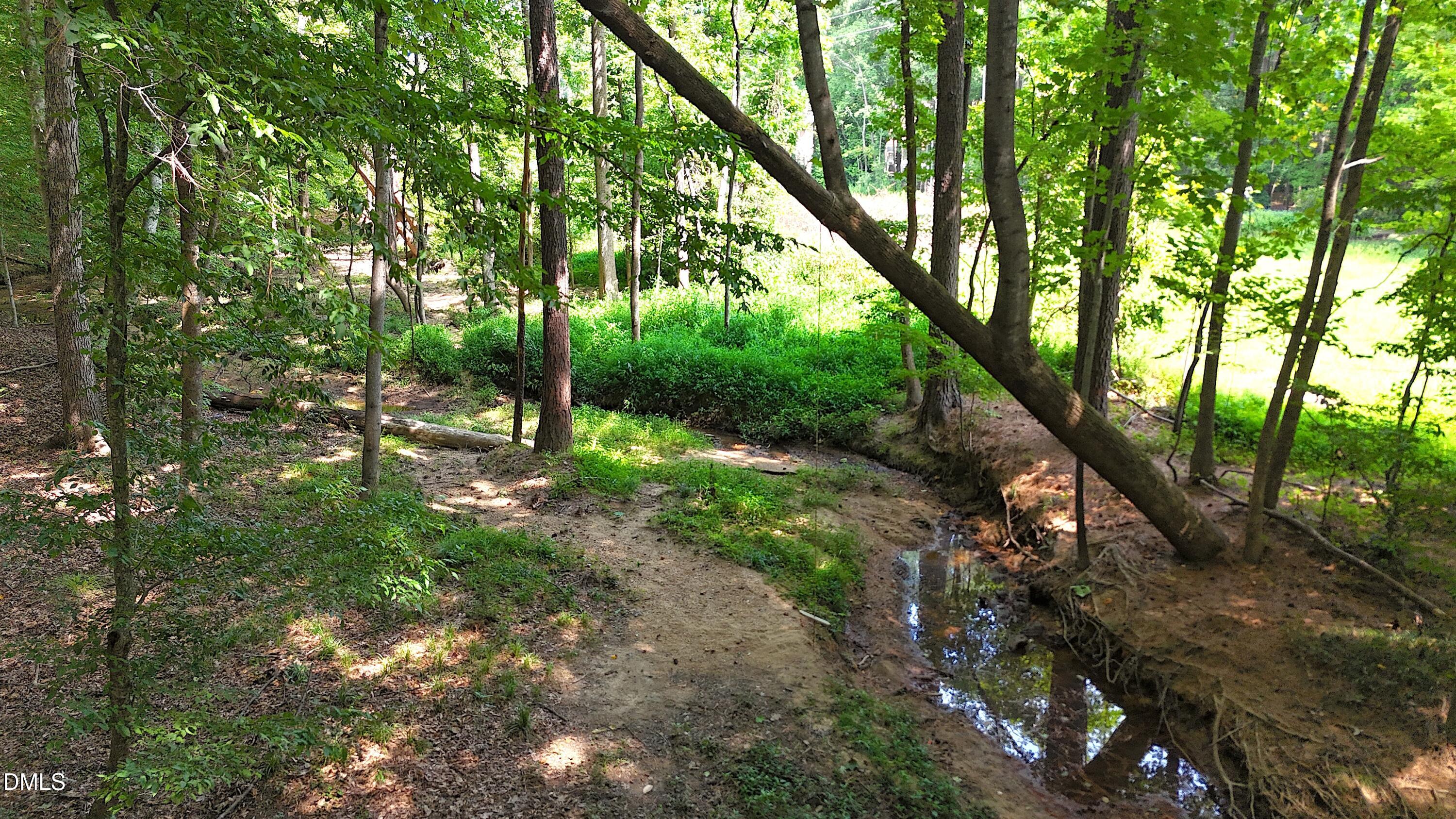 1002 Surry Dale Court Property Photo 69
