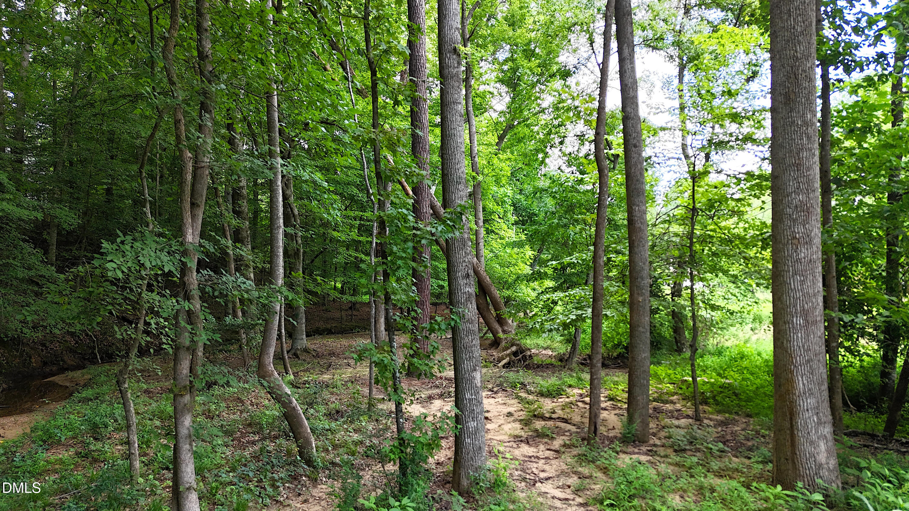 1002 Surry Dale Court Property Photo 70