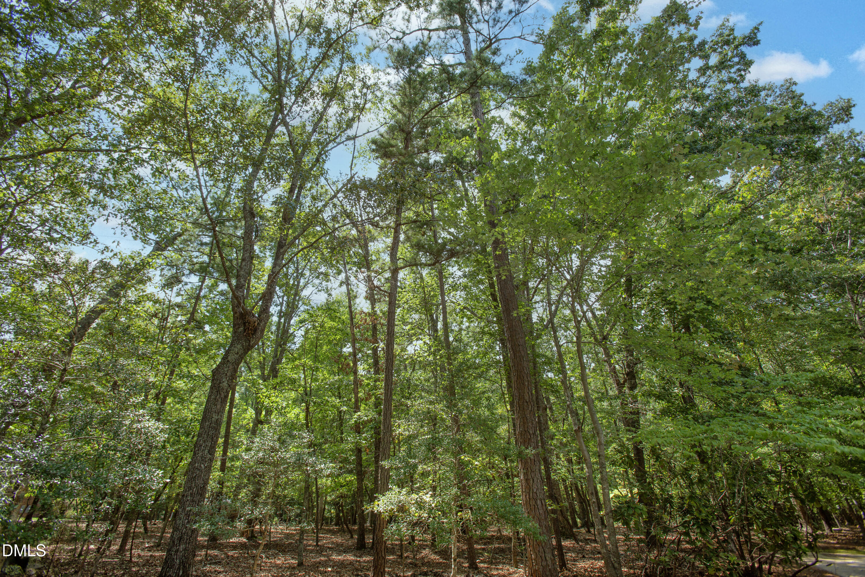 10824 Rondeau Woods Court Property Photo 60