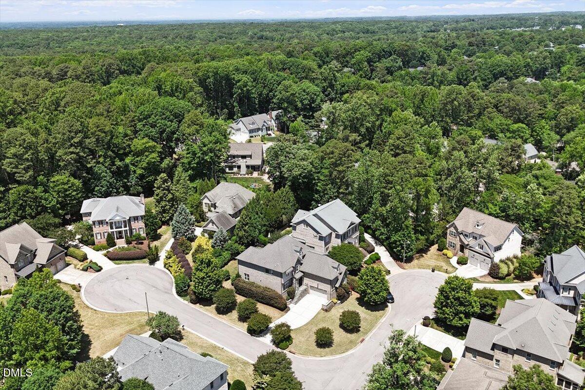 7915 Longleaf Branch Court Property Photo 61