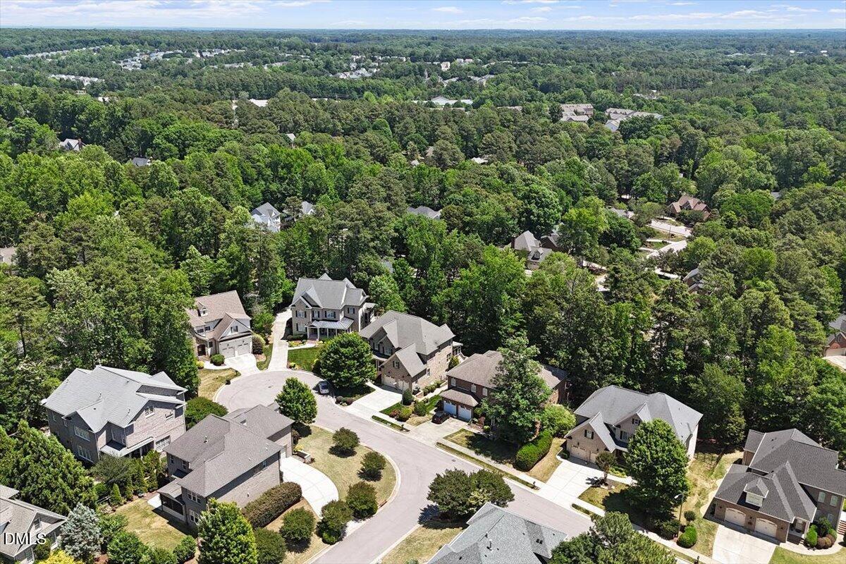 7915 Longleaf Branch Court Property Photo 62
