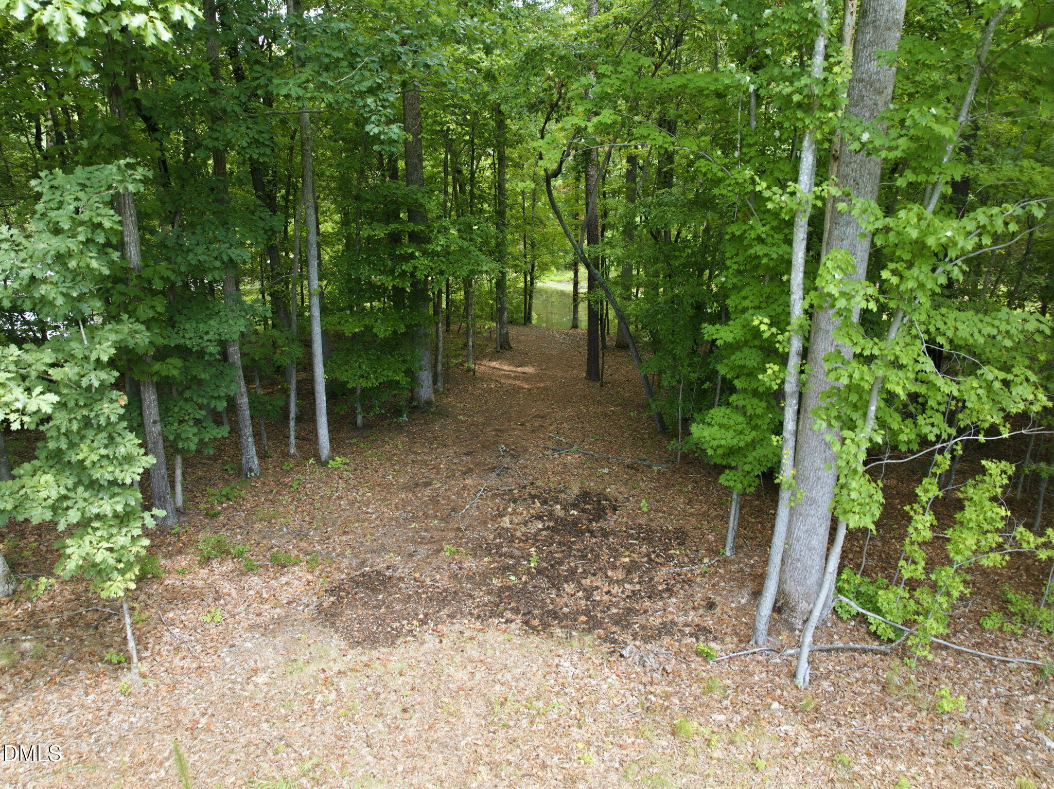 222 American Court Property Photo 94