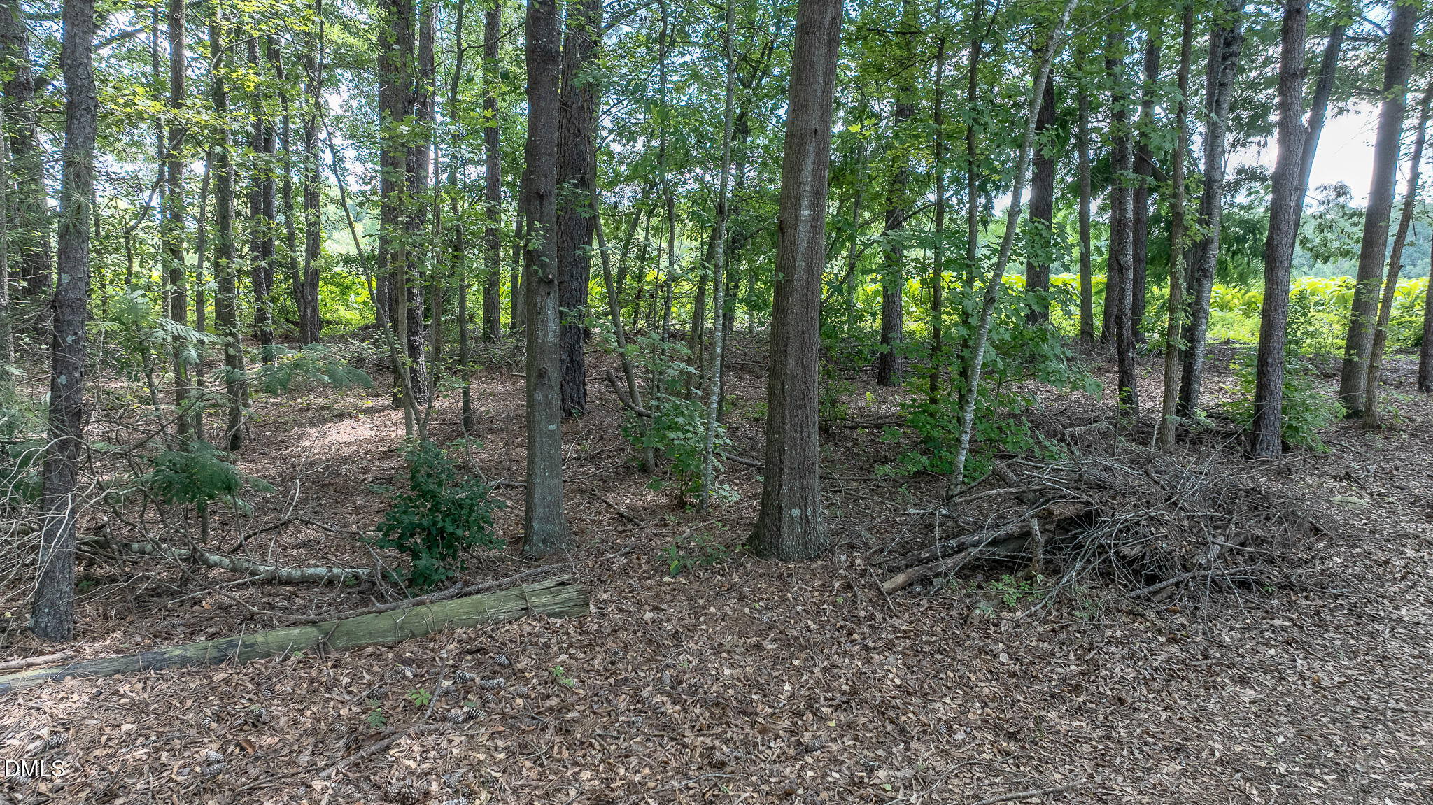 000 Antioch Church Road Property Photo 10