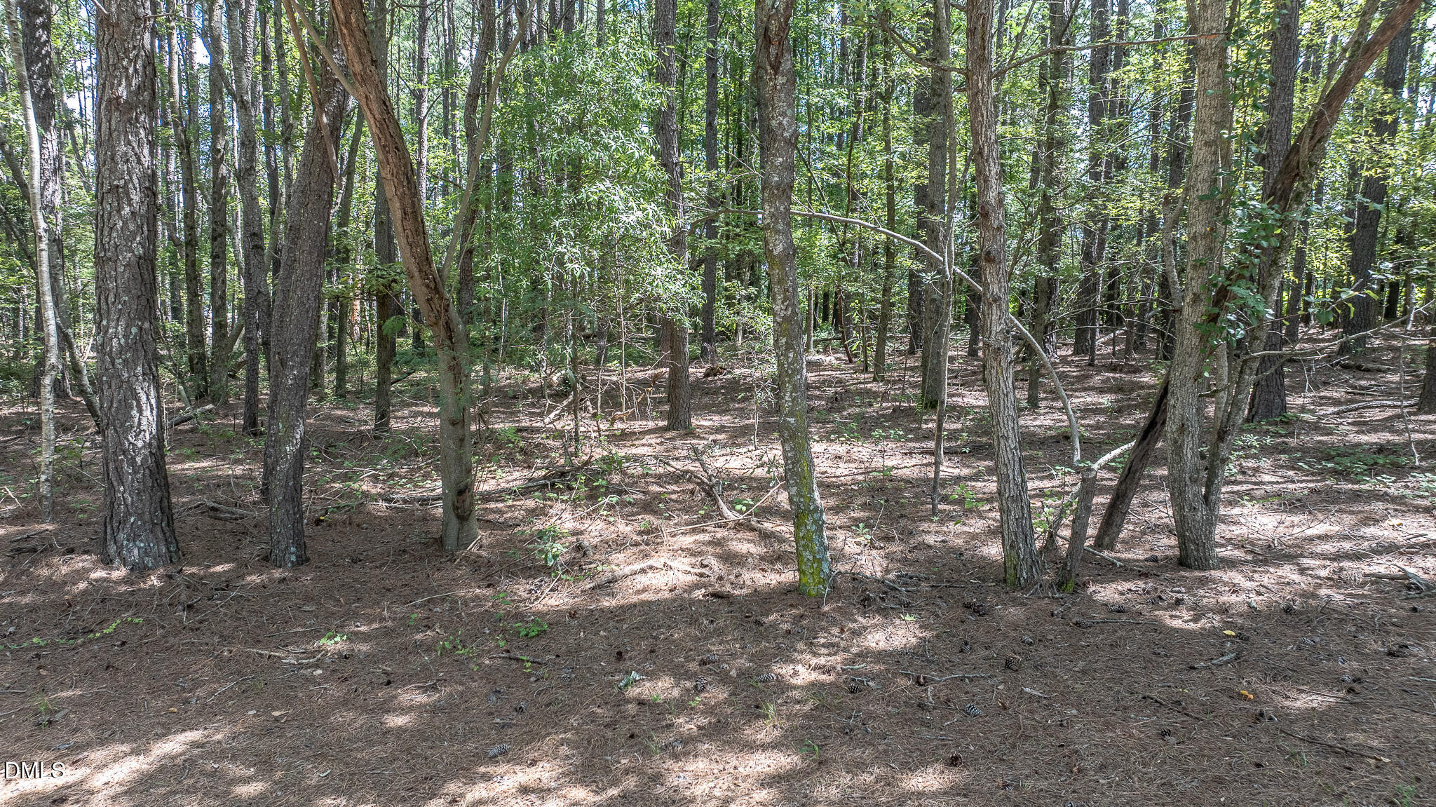000 Antioch Church Road Property Photo 11