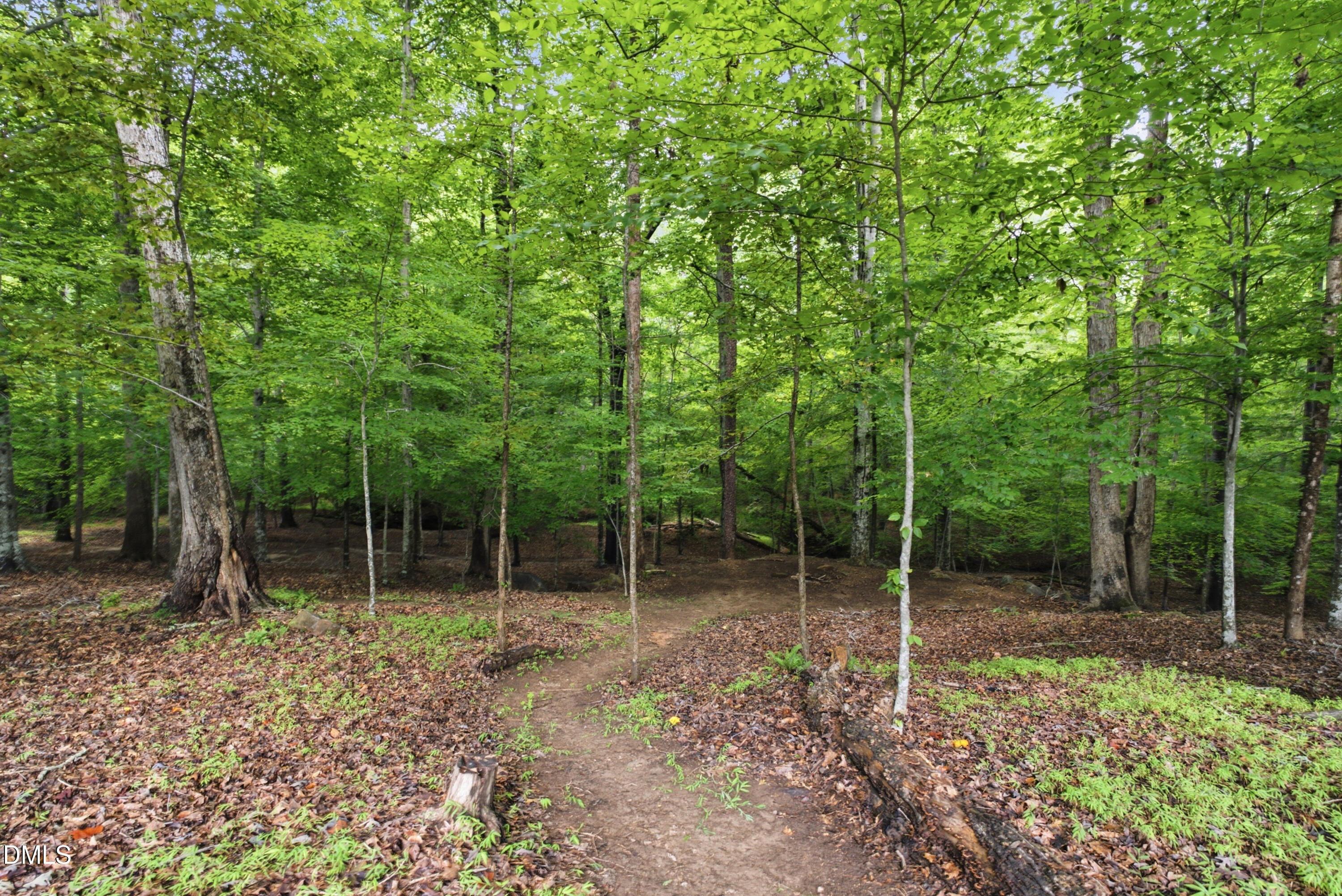 421 Swans Mill Crossing Property Photo 53