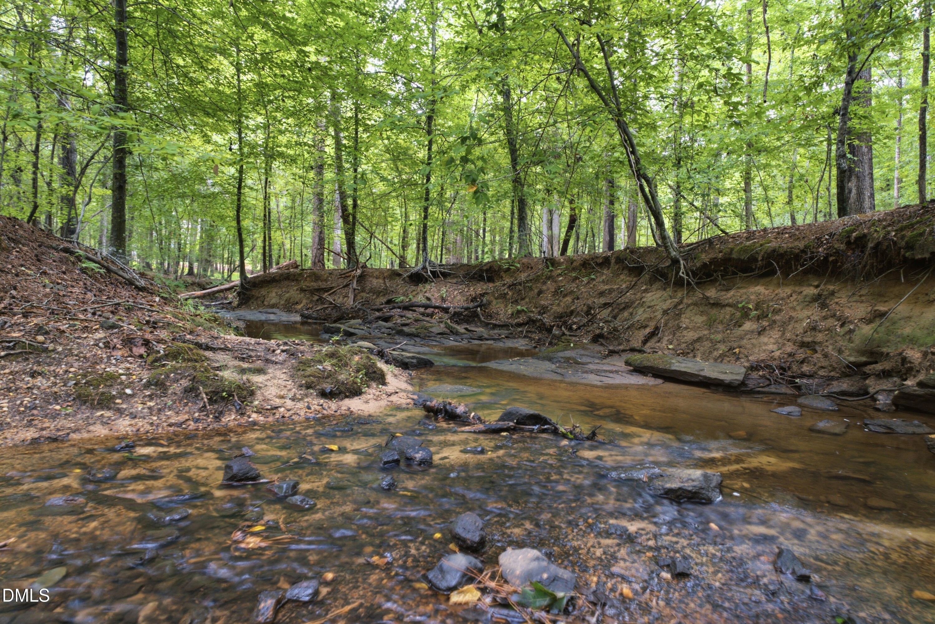 421 Swans Mill Crossing Property Photo 55