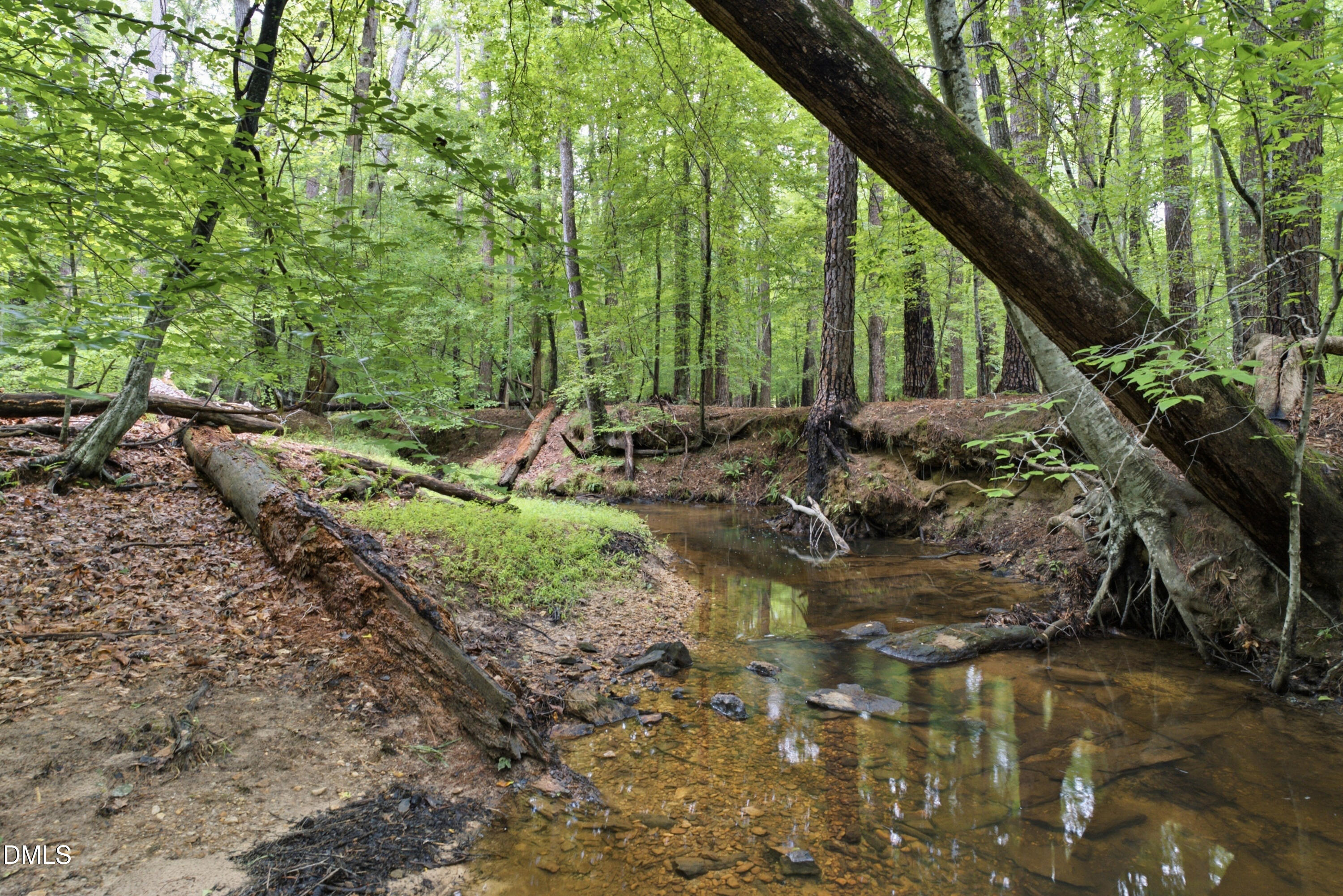 421 Swans Mill Crossing Property Photo 56
