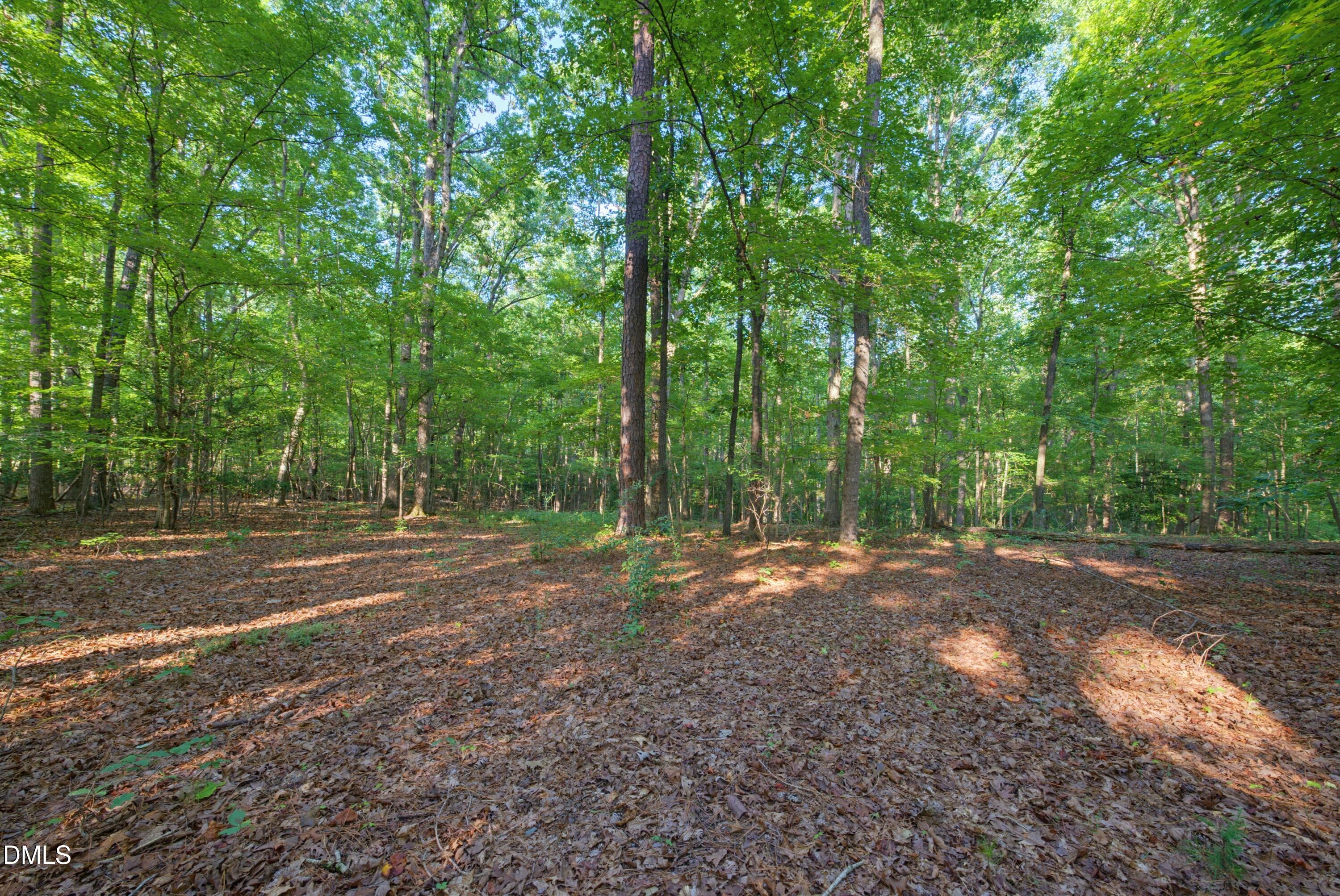 100 Sloping Pond Road Property Photo 9