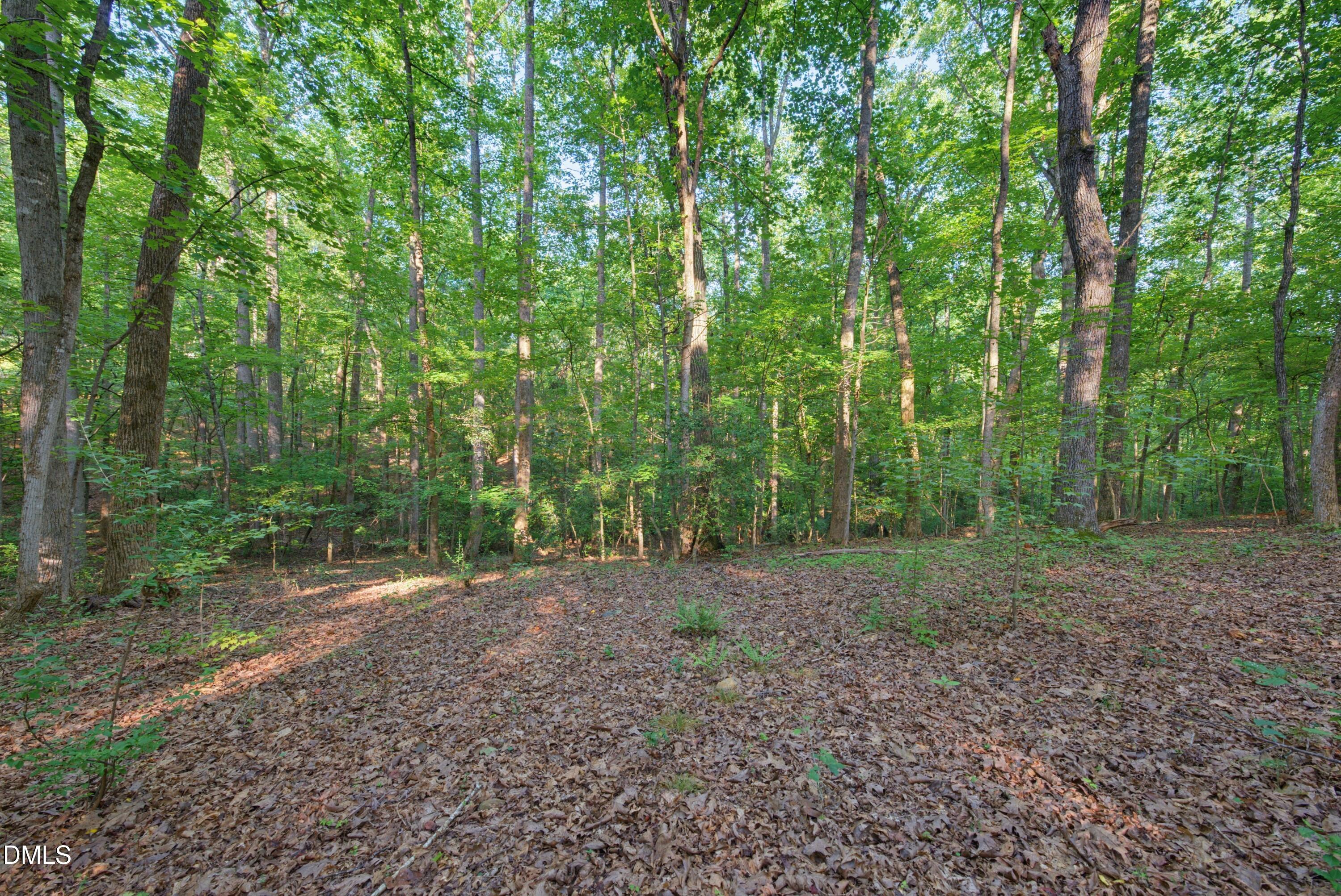 100 Sloping Pond Road Property Photo 10