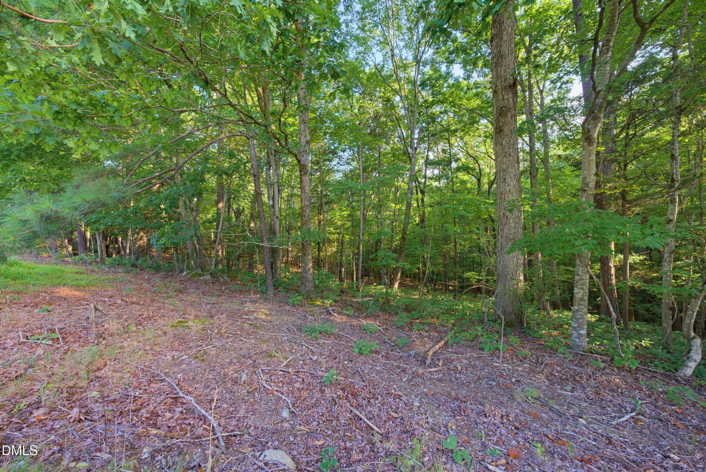 100 Sloping Pond Road Property Photo 11