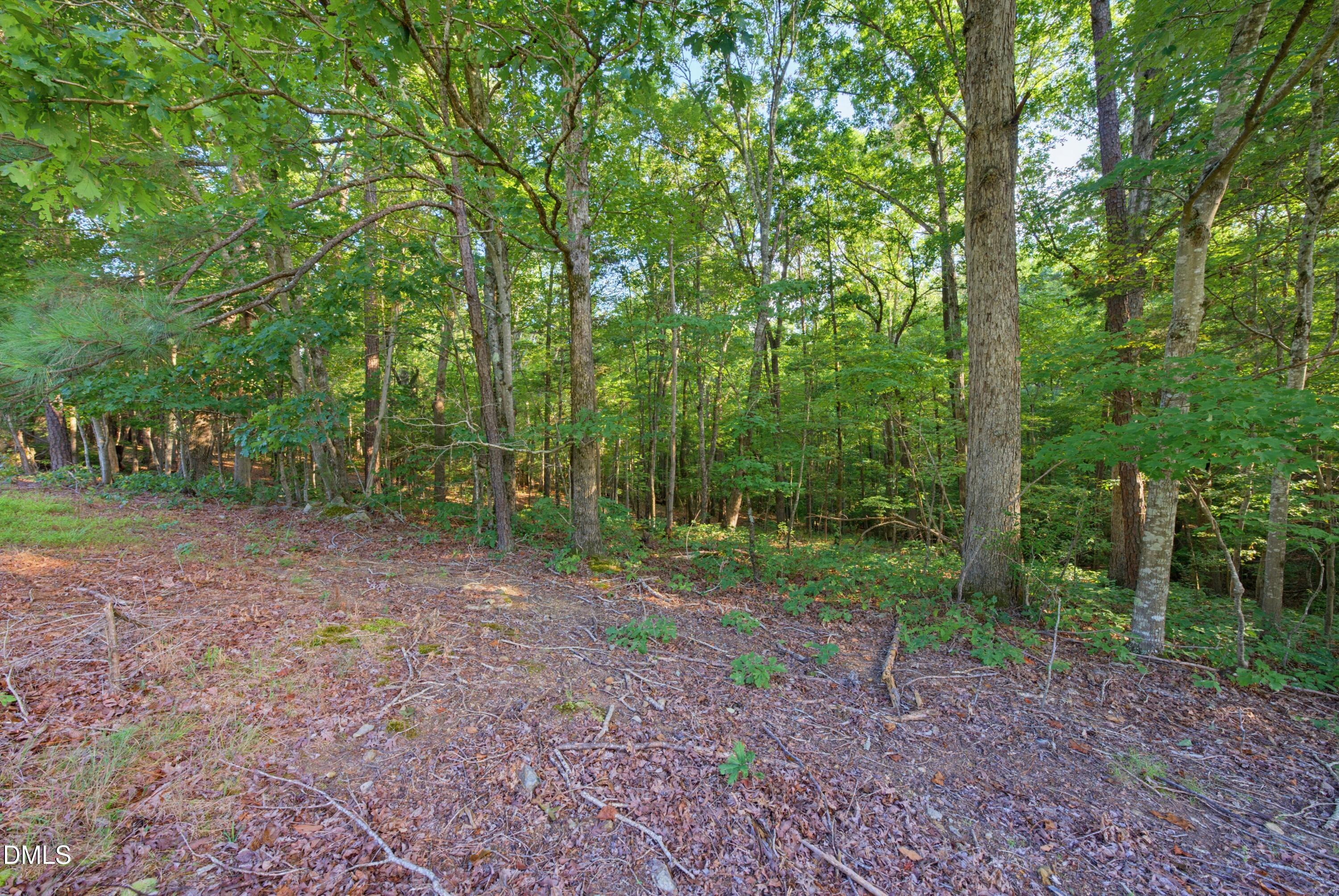 100 Sloping Pond Road Property Photo 12