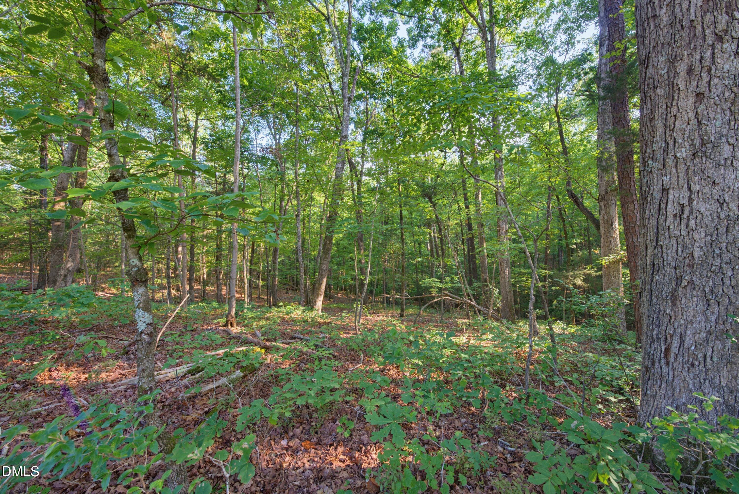 100 Sloping Pond Road Property Photo 13