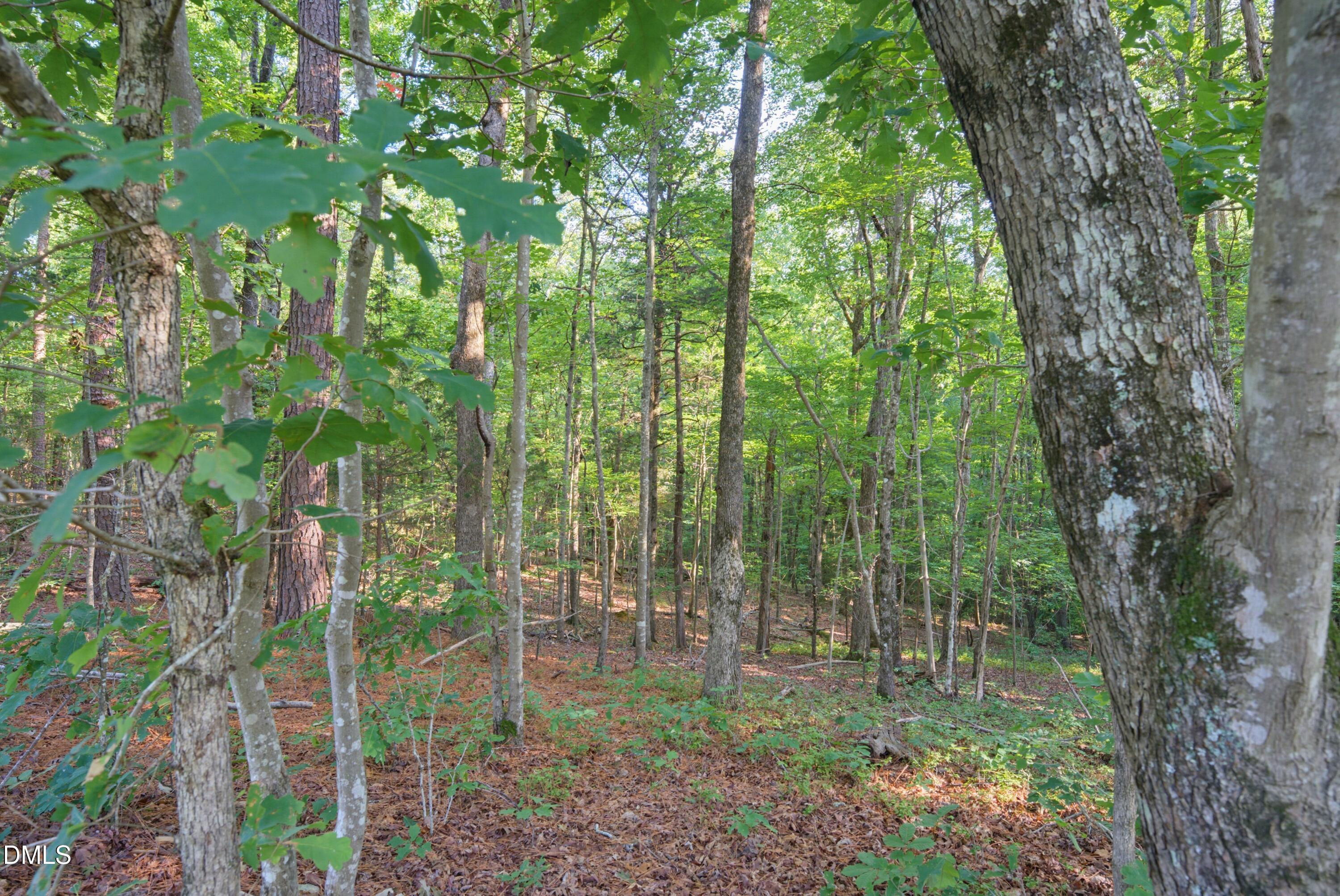 100 Sloping Pond Road Property Photo 14