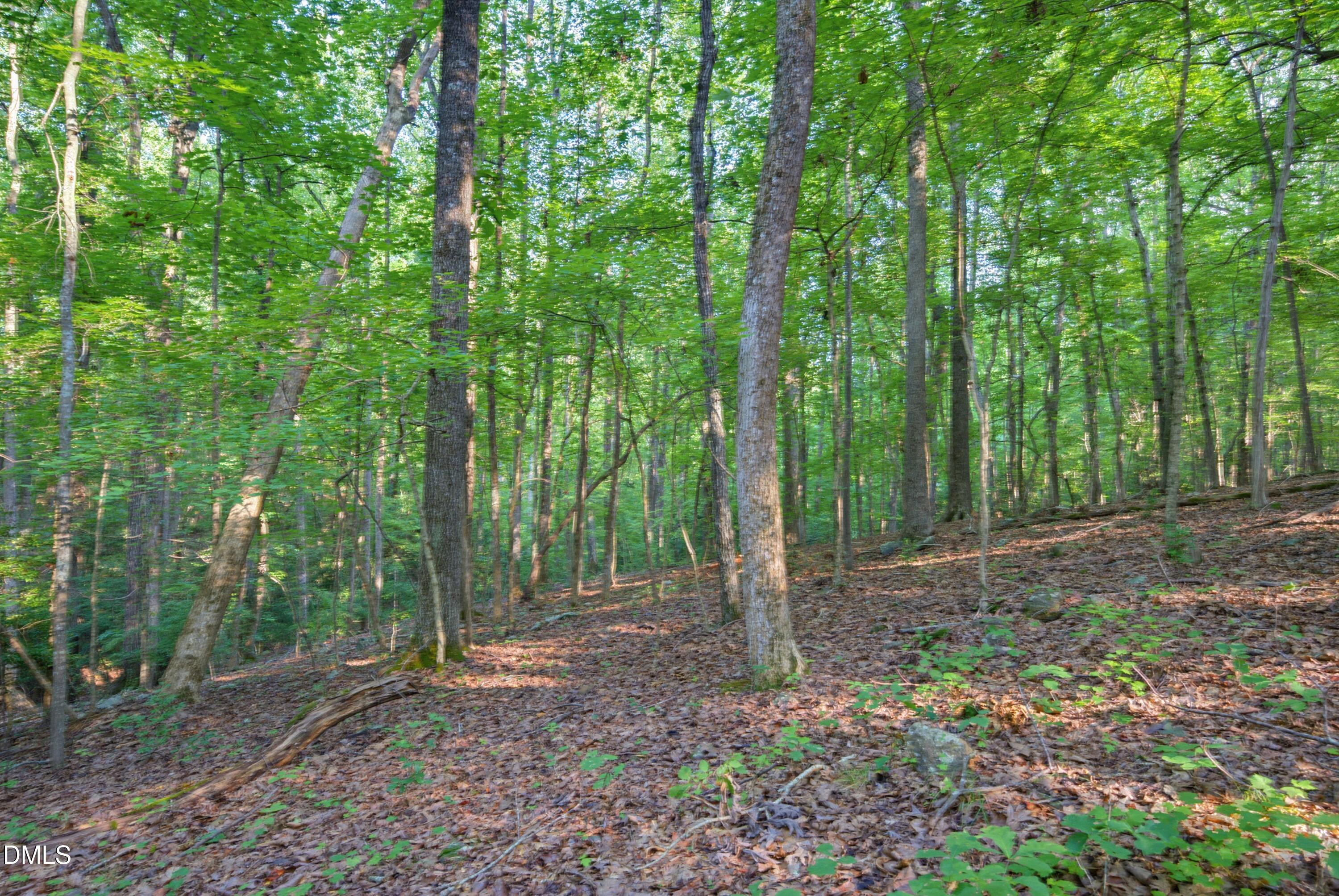 100 Sloping Pond Road Property Photo 15