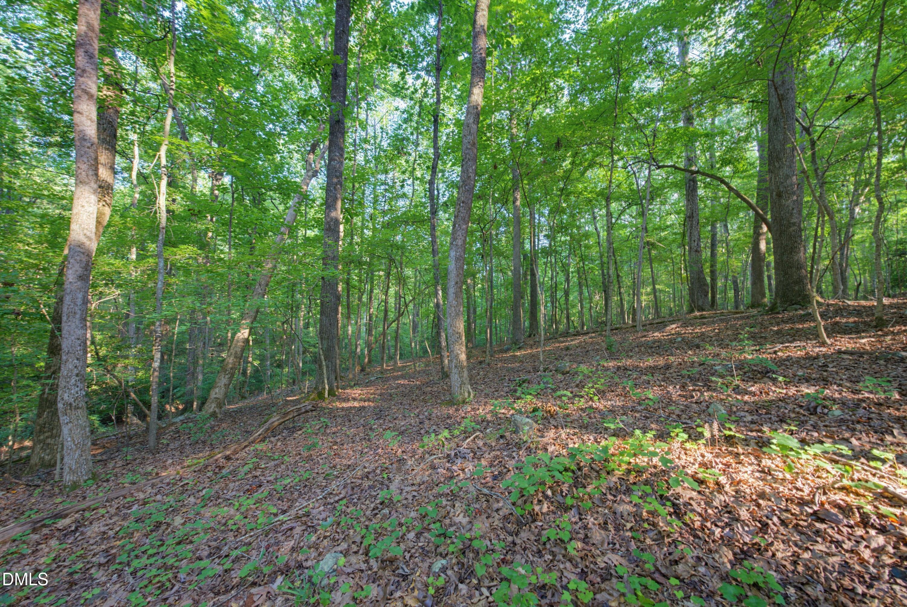 100 Sloping Pond Road Property Photo 16