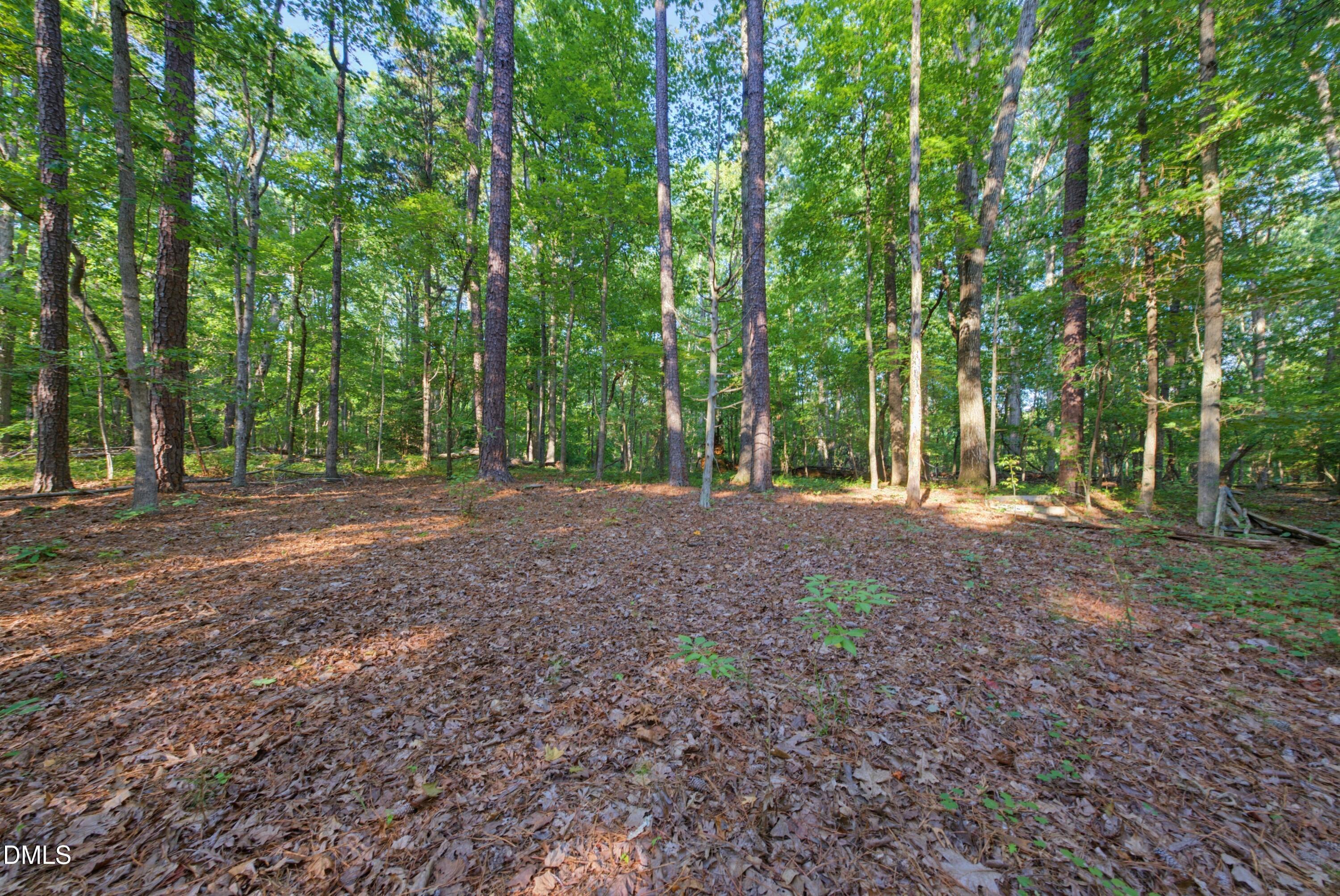 100 Sloping Pond Road Property Photo 17