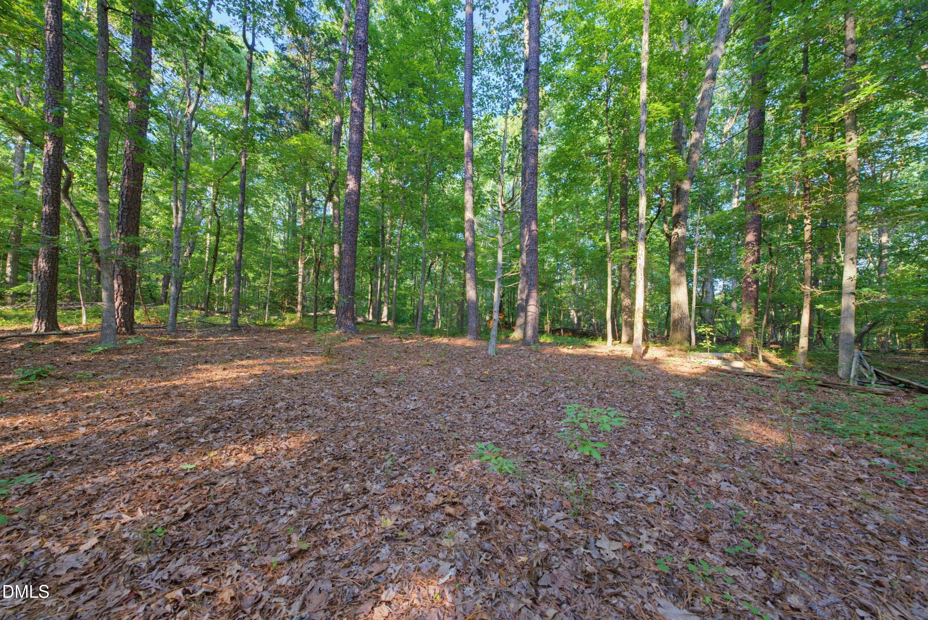 100 Sloping Pond Road Property Photo 18
