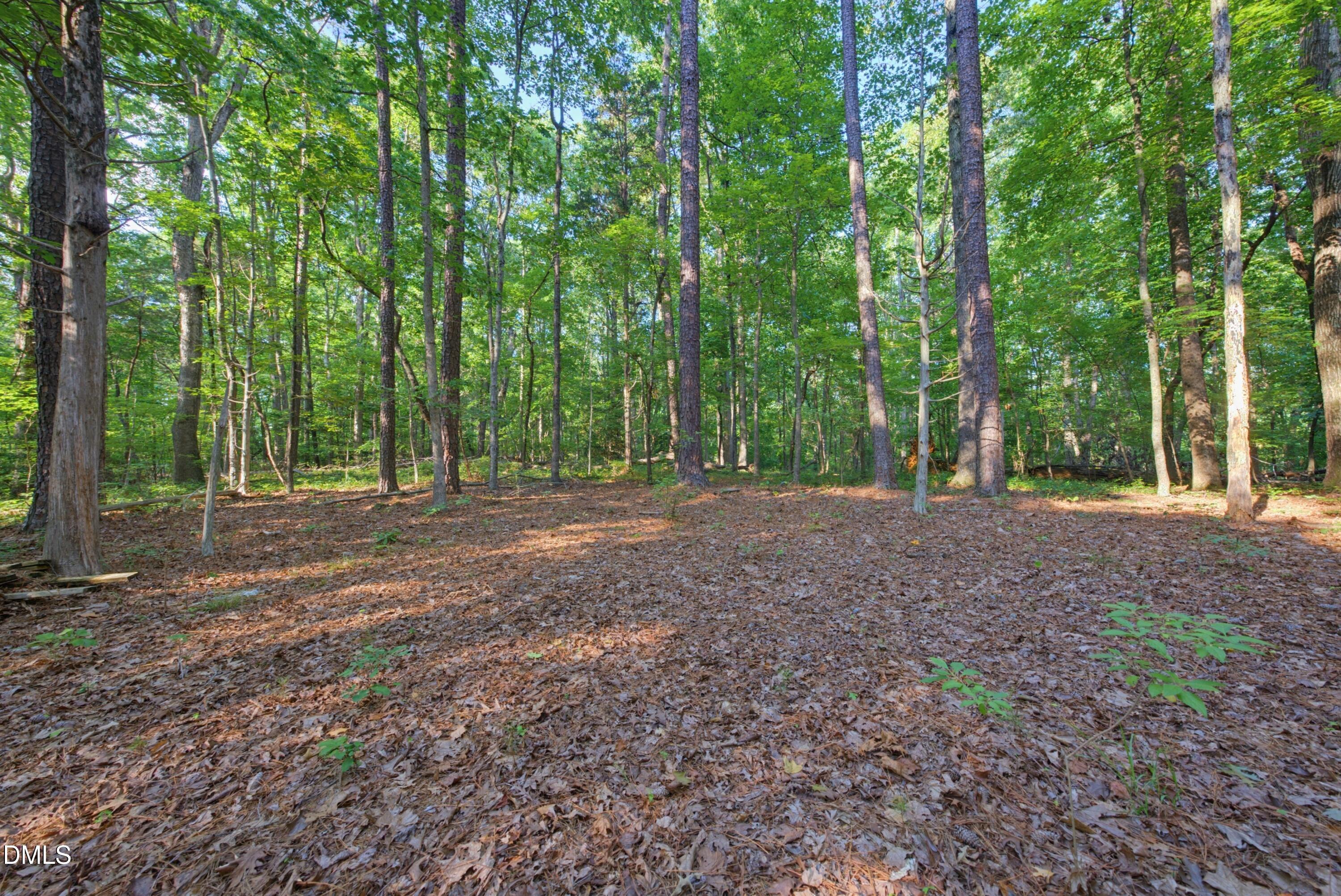 100 Sloping Pond Road Property Photo 19