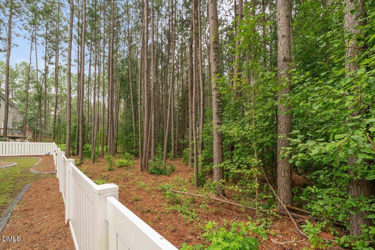 393 Badger Pass Drive Property Photo 28