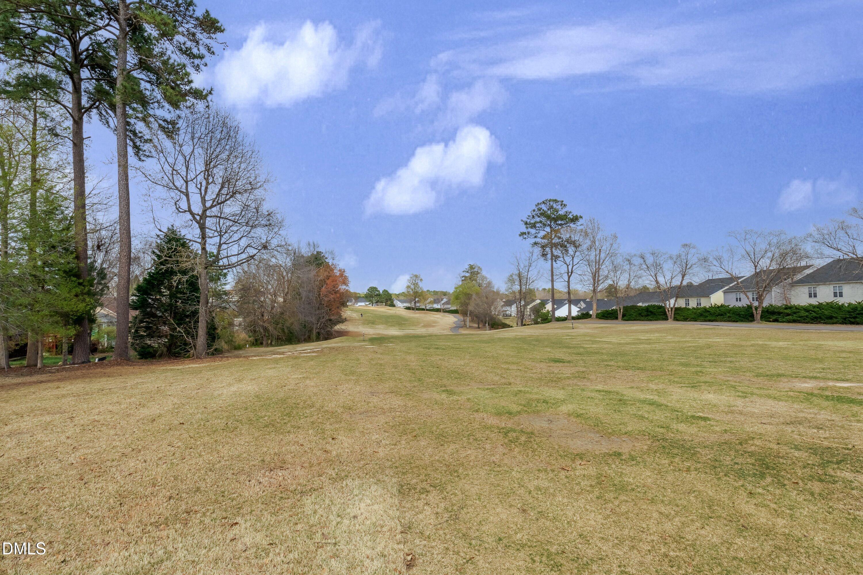 2120 Castle Pines Drive Property Photo 69